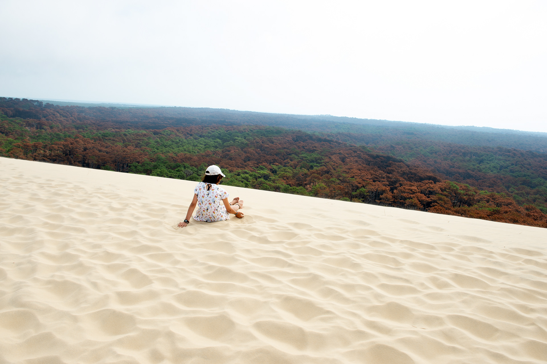 Dune du pilat - GIRONDE