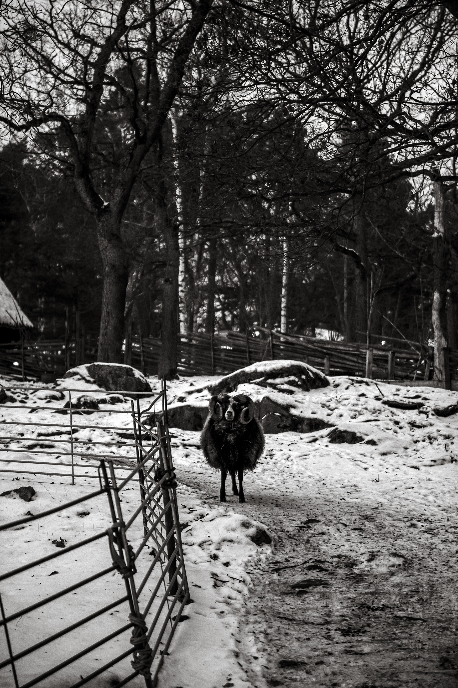 Skansen - STOCKHOLM