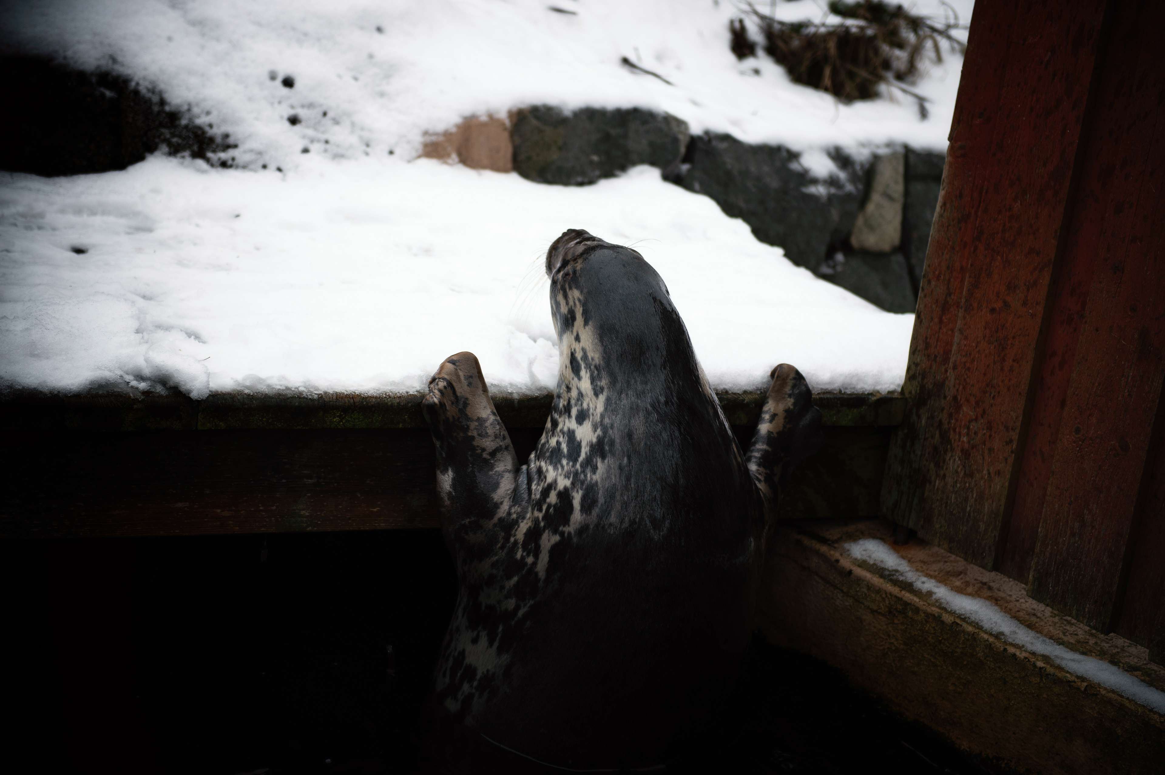 Skansen - STOCKHOLM