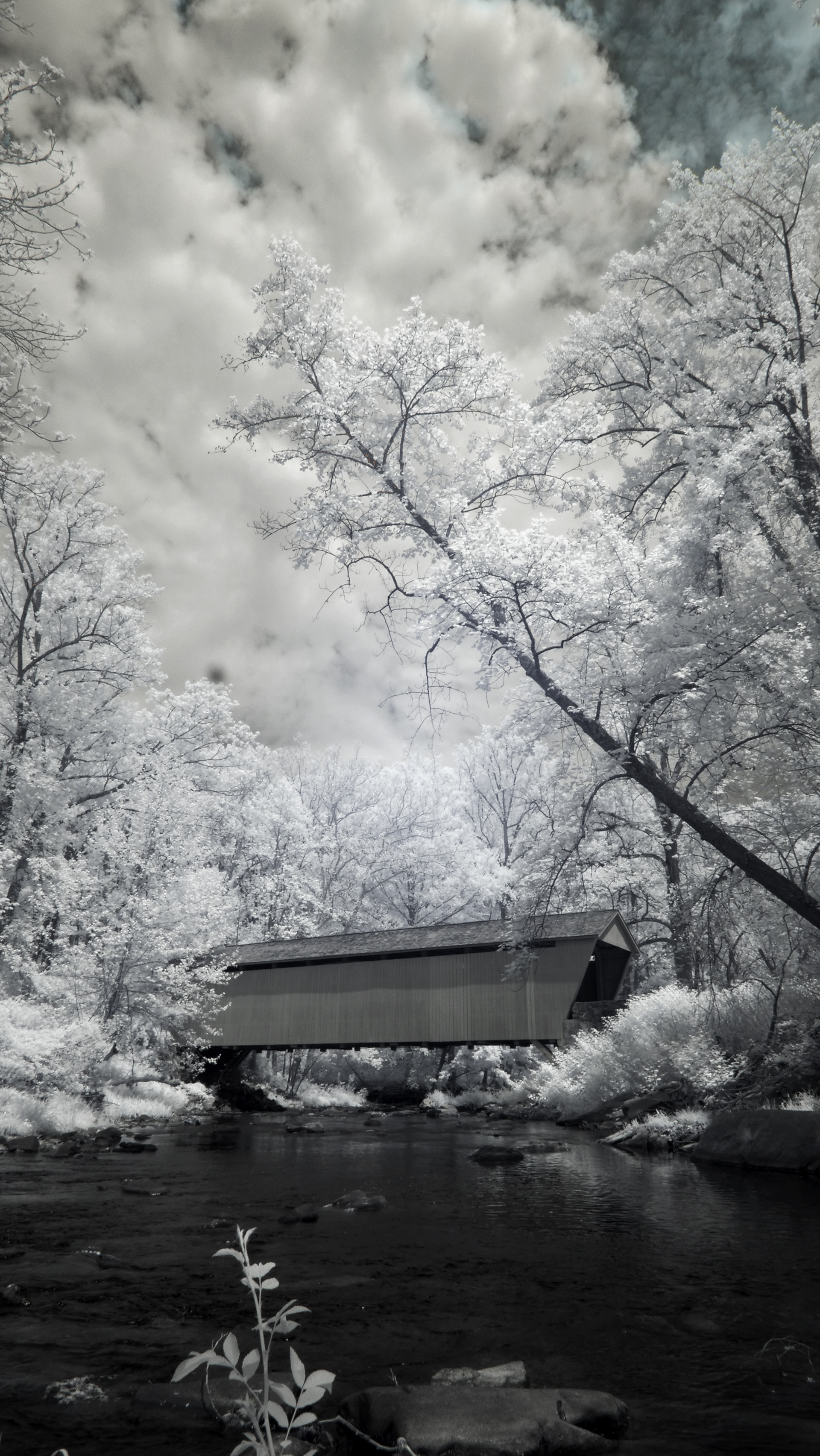 Jericho Covered Bridge, Maryland