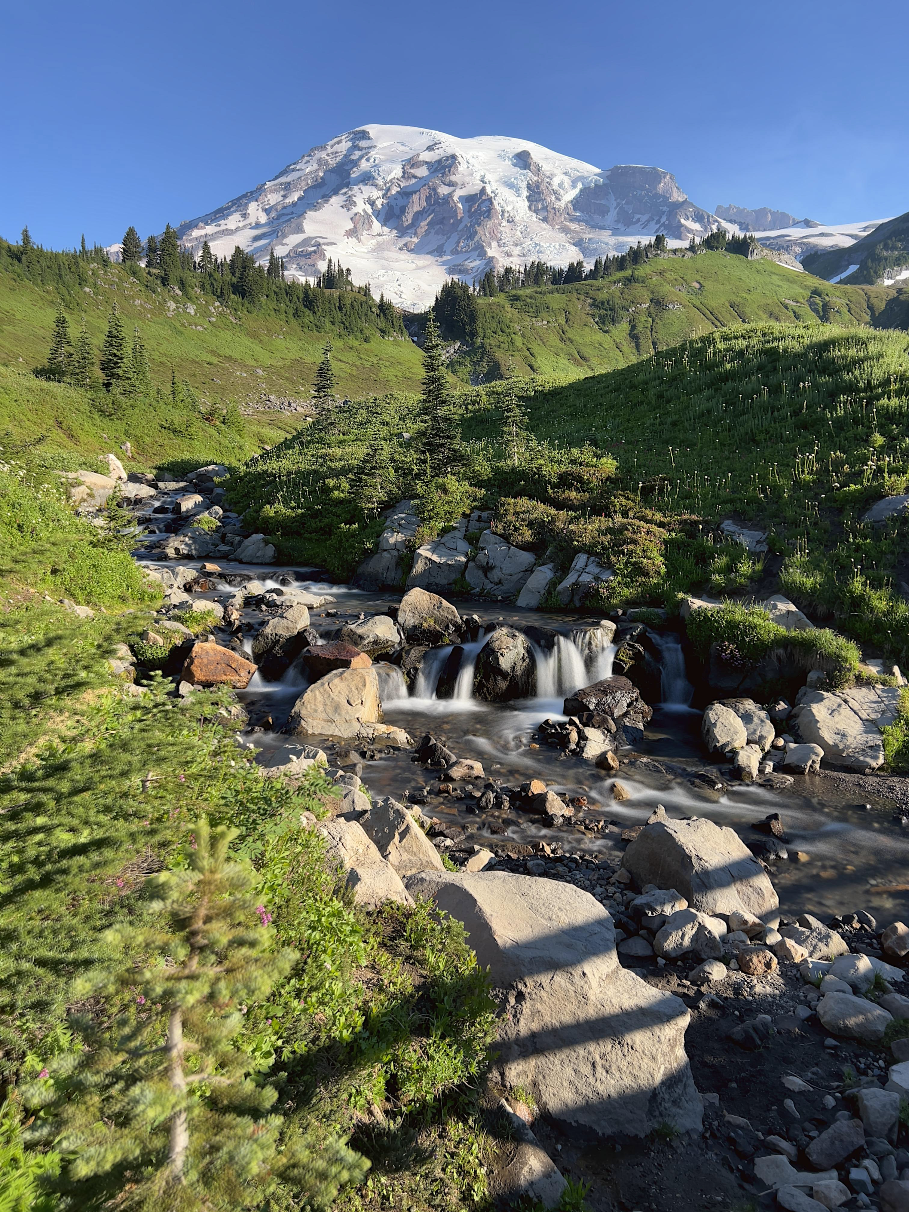 Edith Creek, Mt. Rainier, Washington