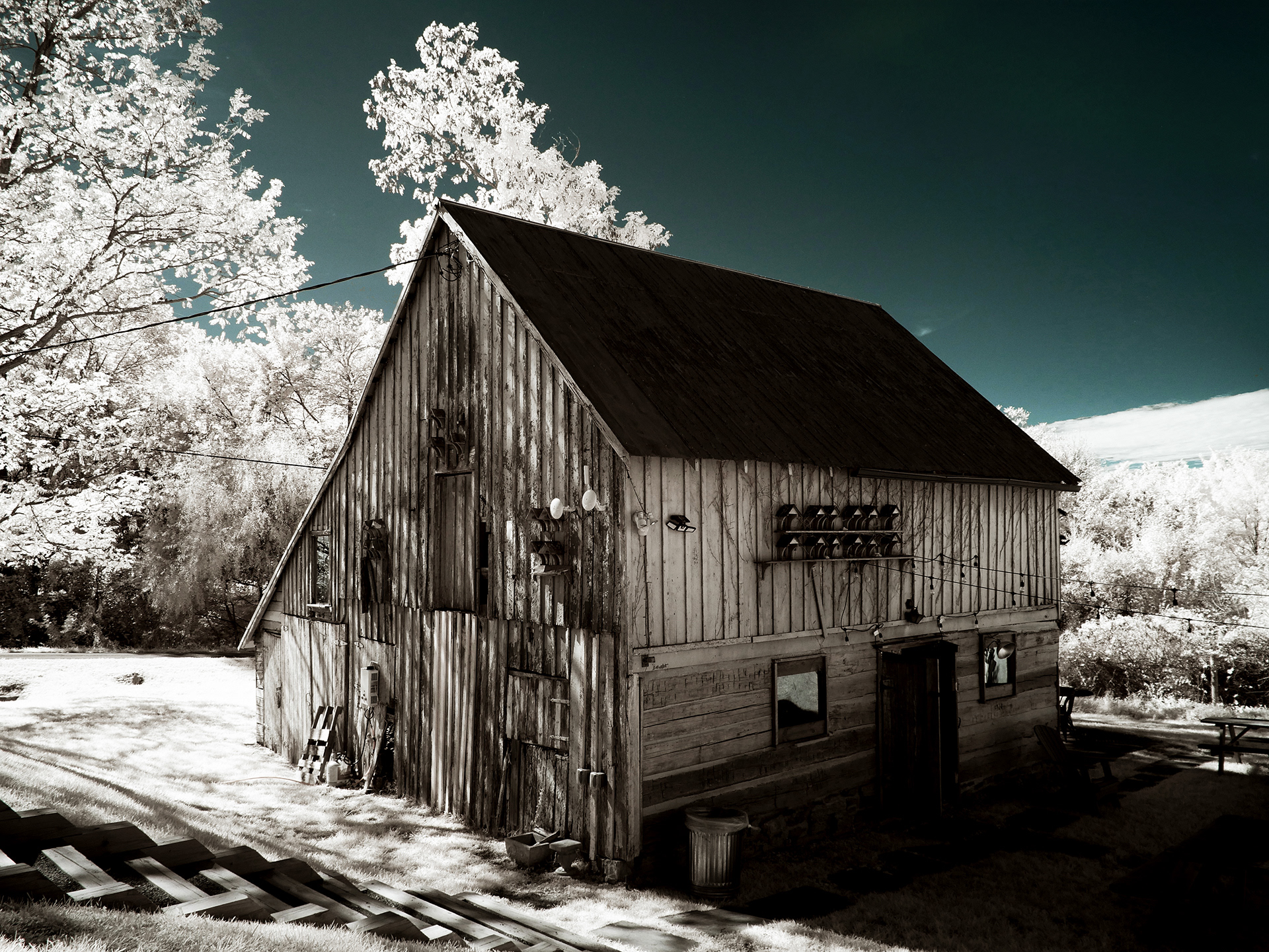 Birdhouses and Barn, Comus, Maryland