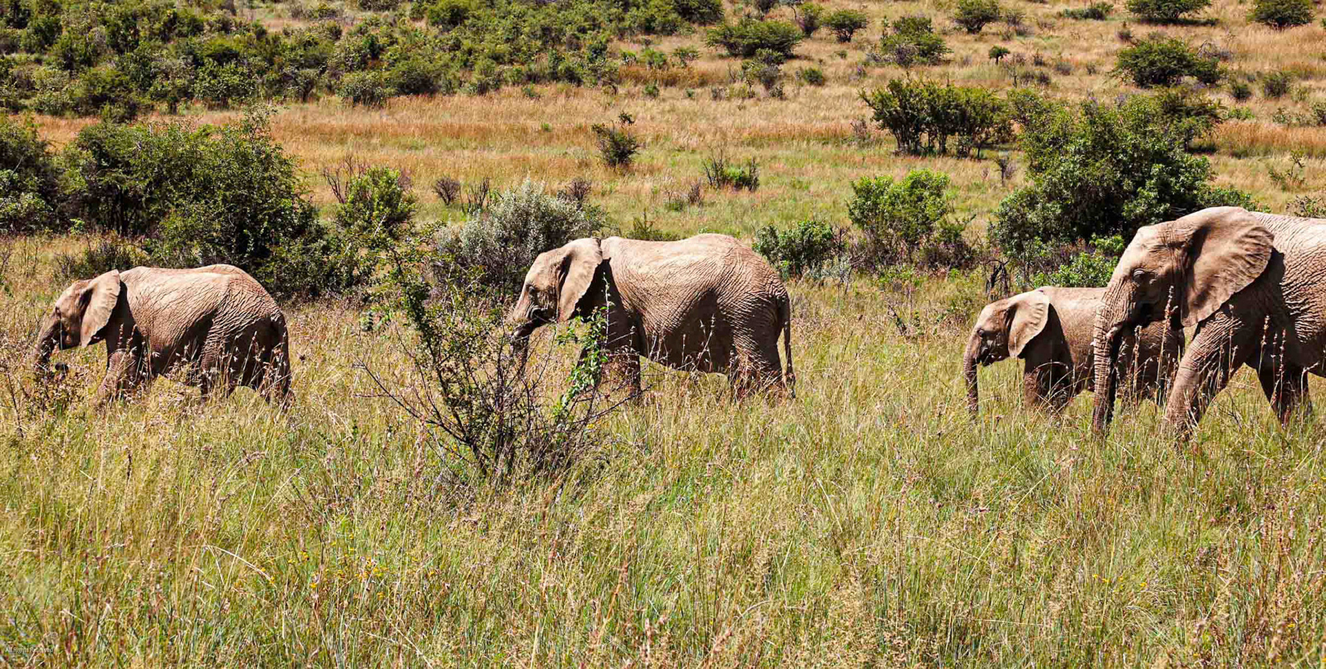 South Africa