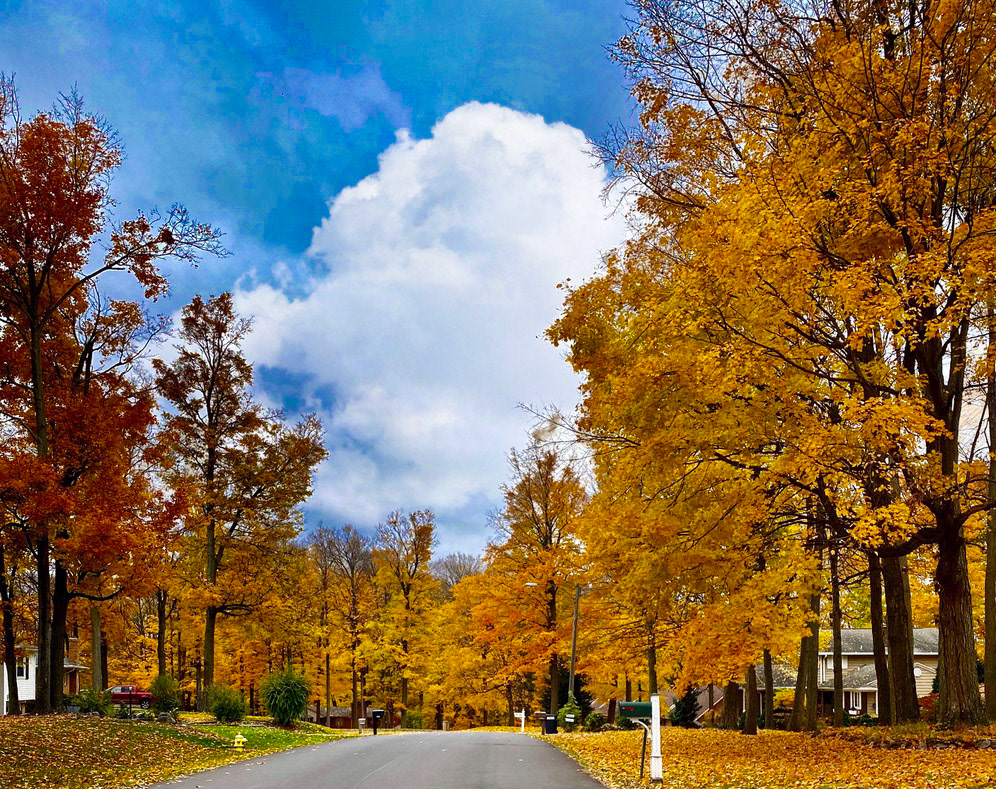 Fall Beauty, Waverly, MI