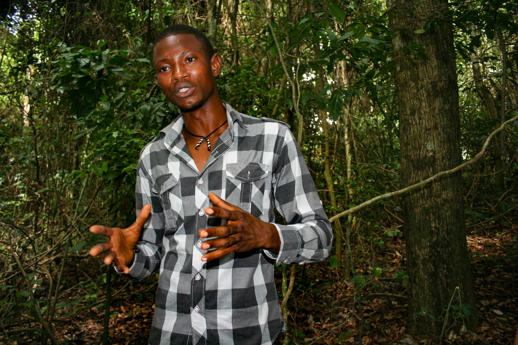 Tour Guide
