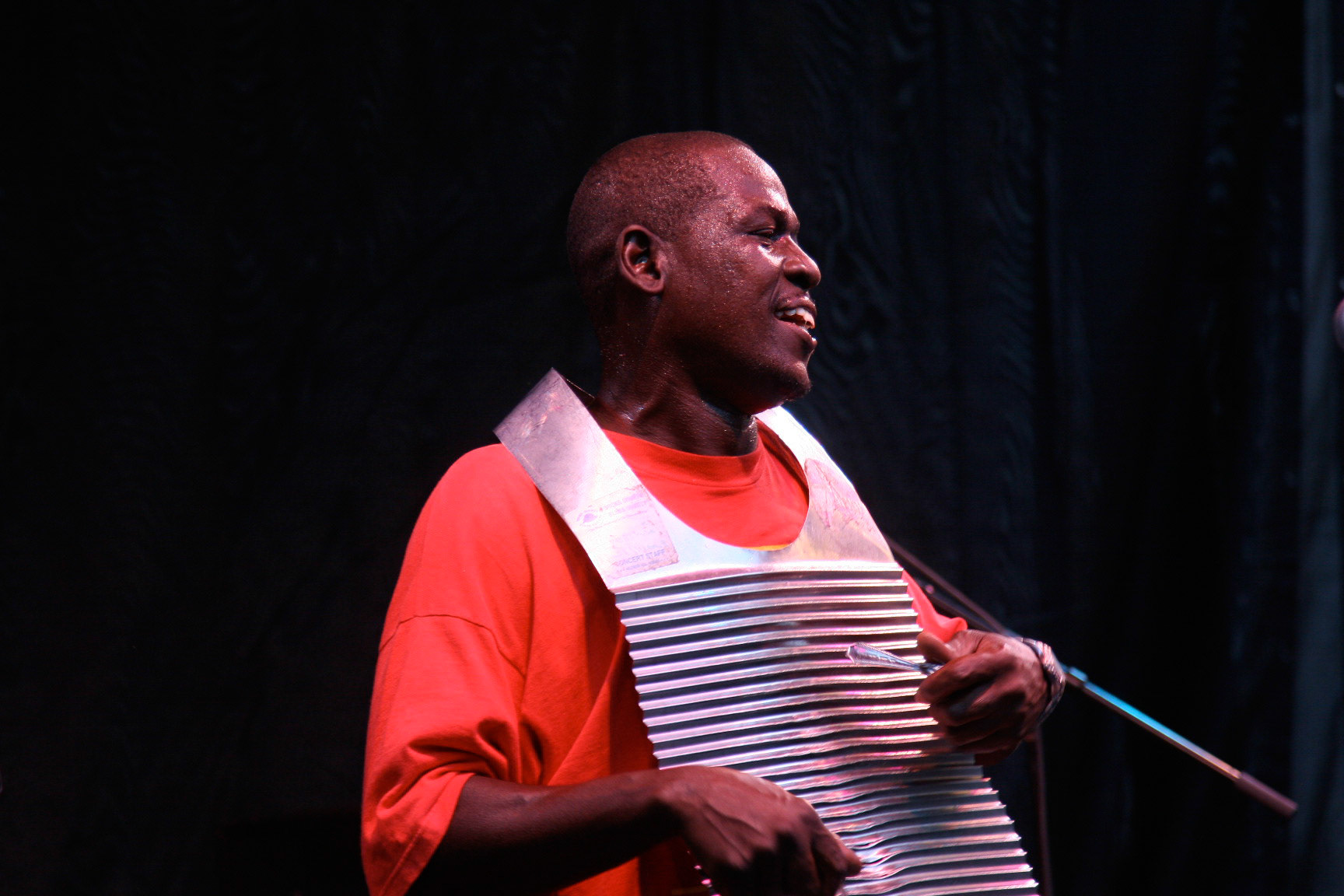Washboard Player: Detroit Jazz Festival