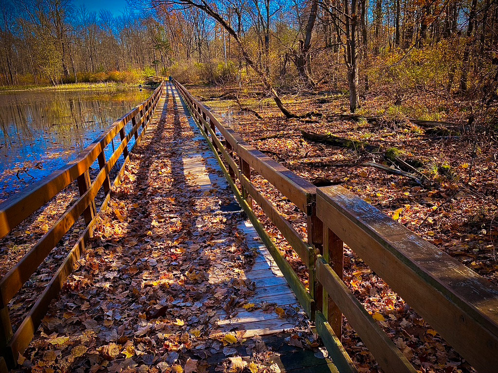 Park,Delta Mills, MI