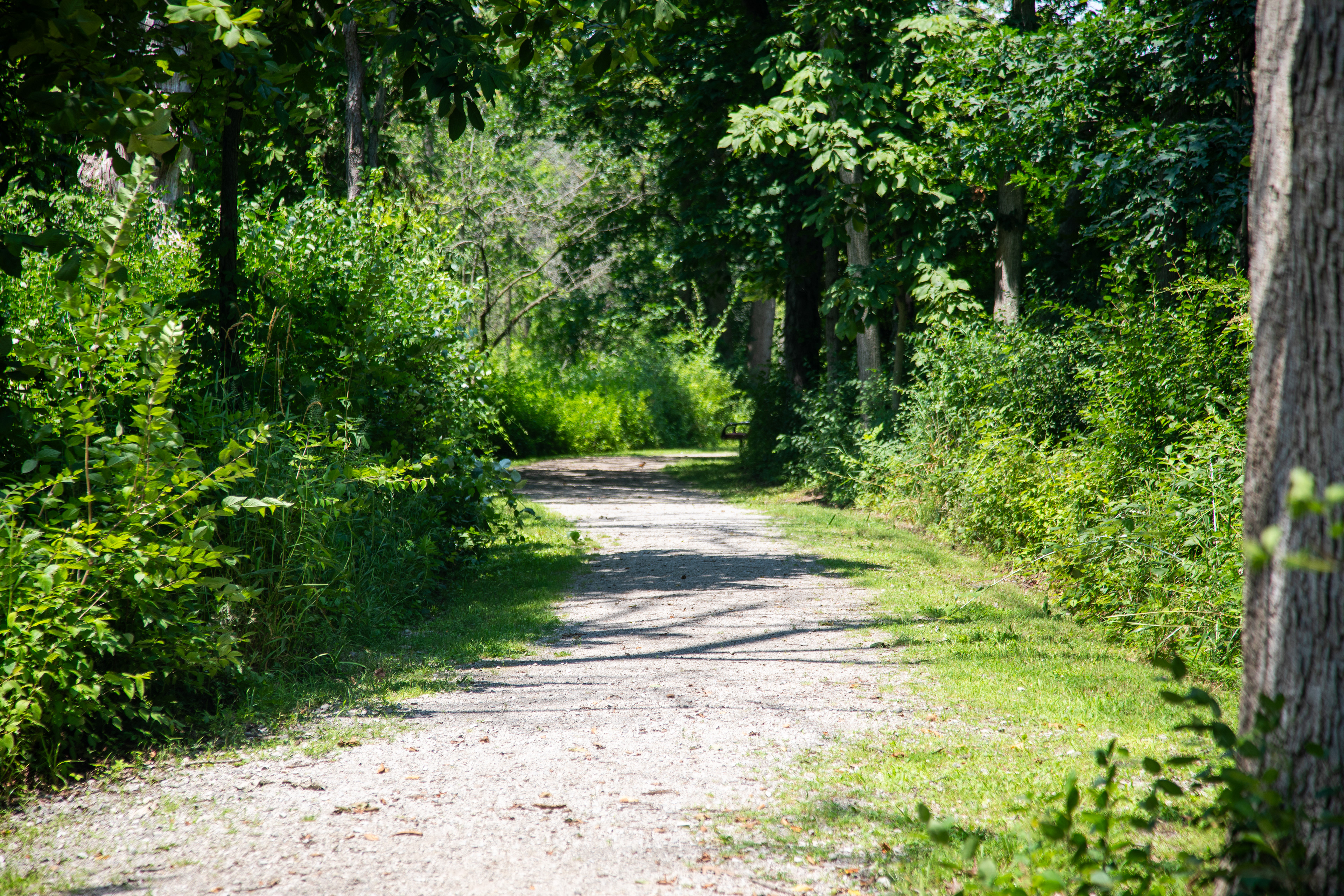 Ecorse, MI