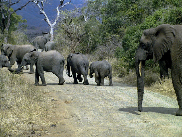 South Africa