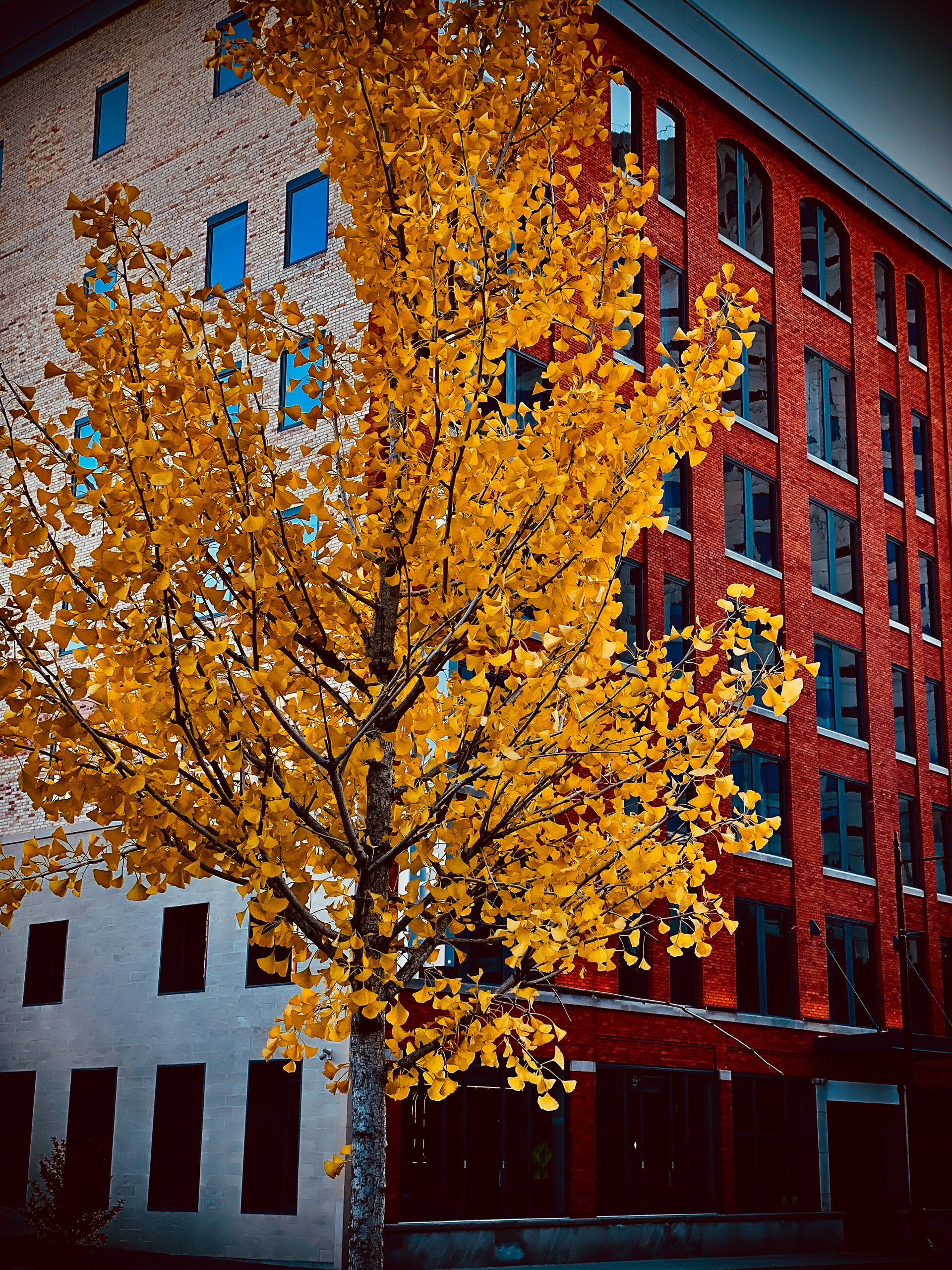 Grand Rapids, MI