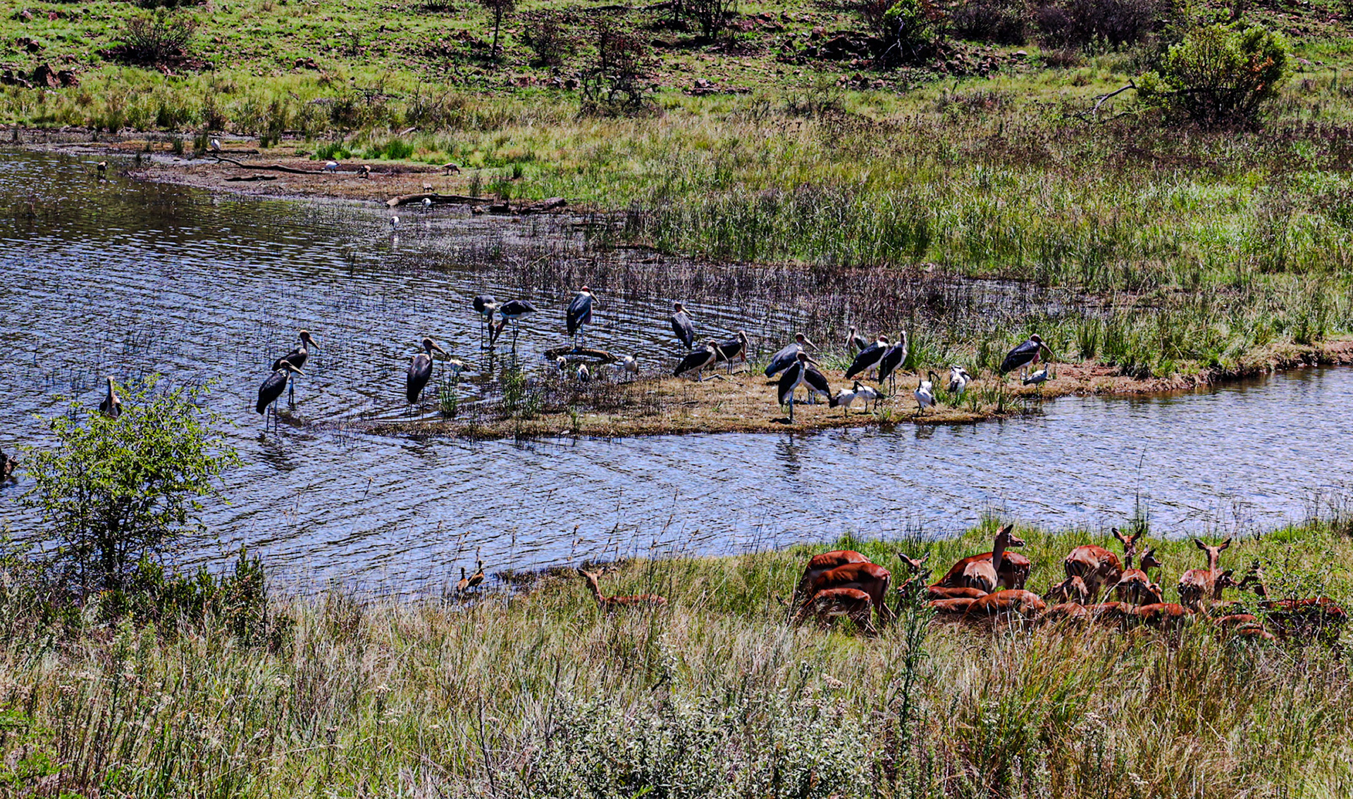 South Africa