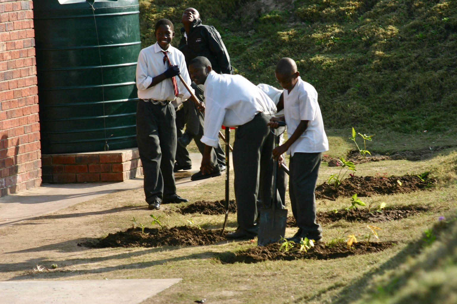 Campus beautification project team