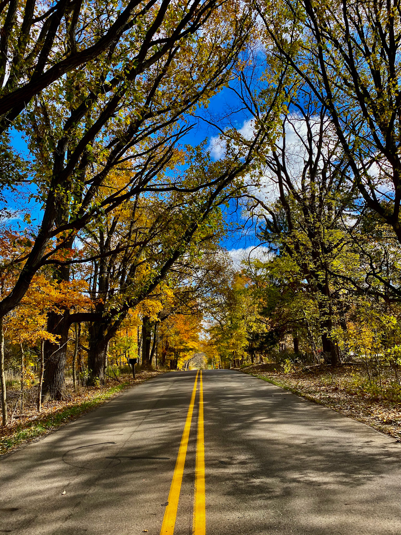 The Long Way Home 