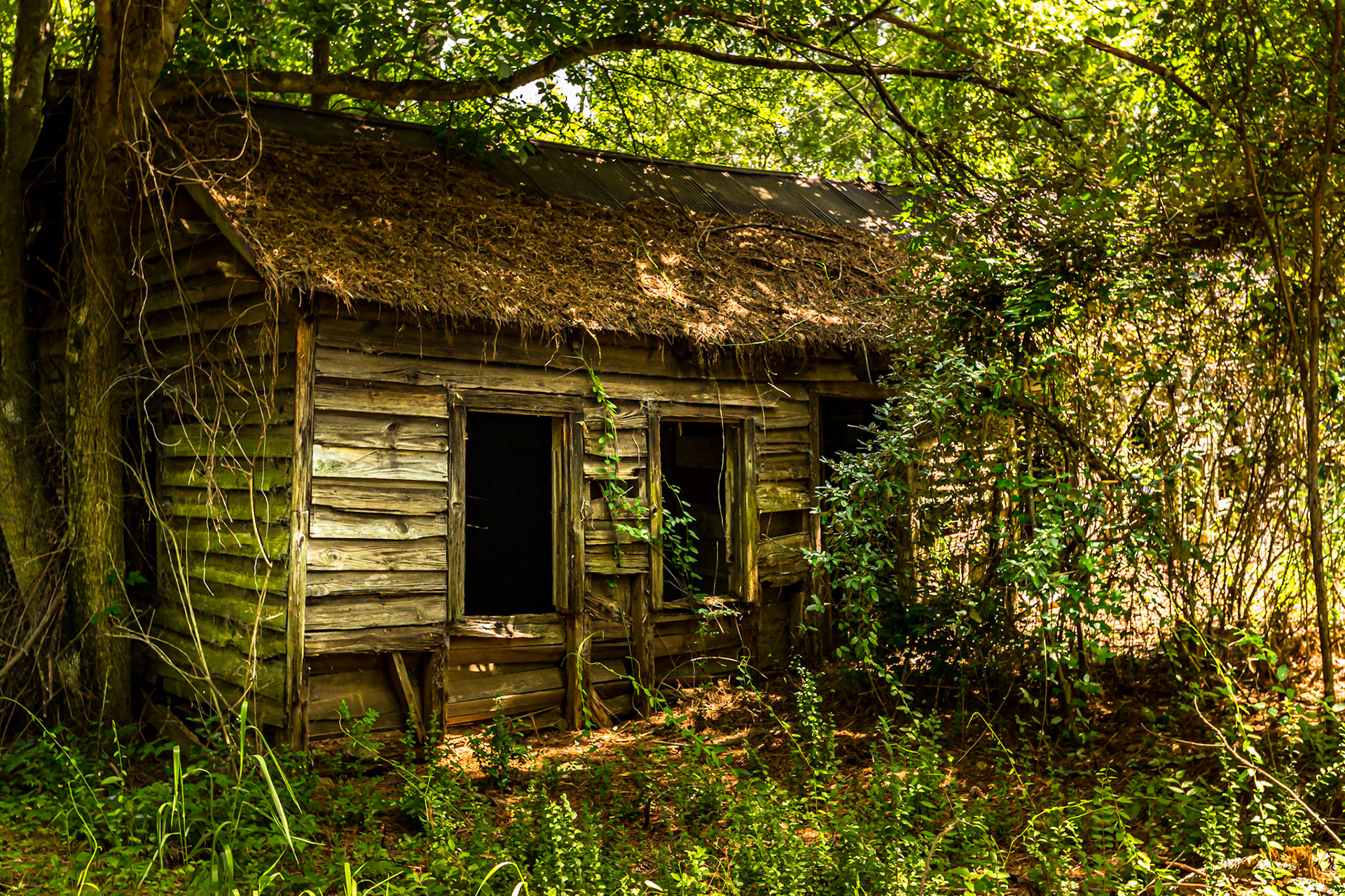 Gray, GA