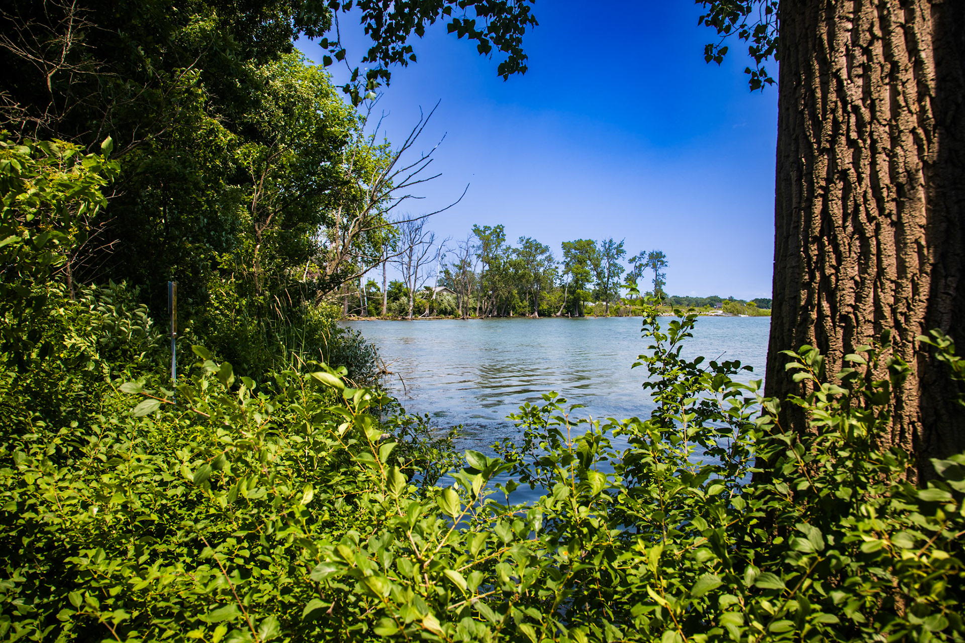 Ecorse, MI