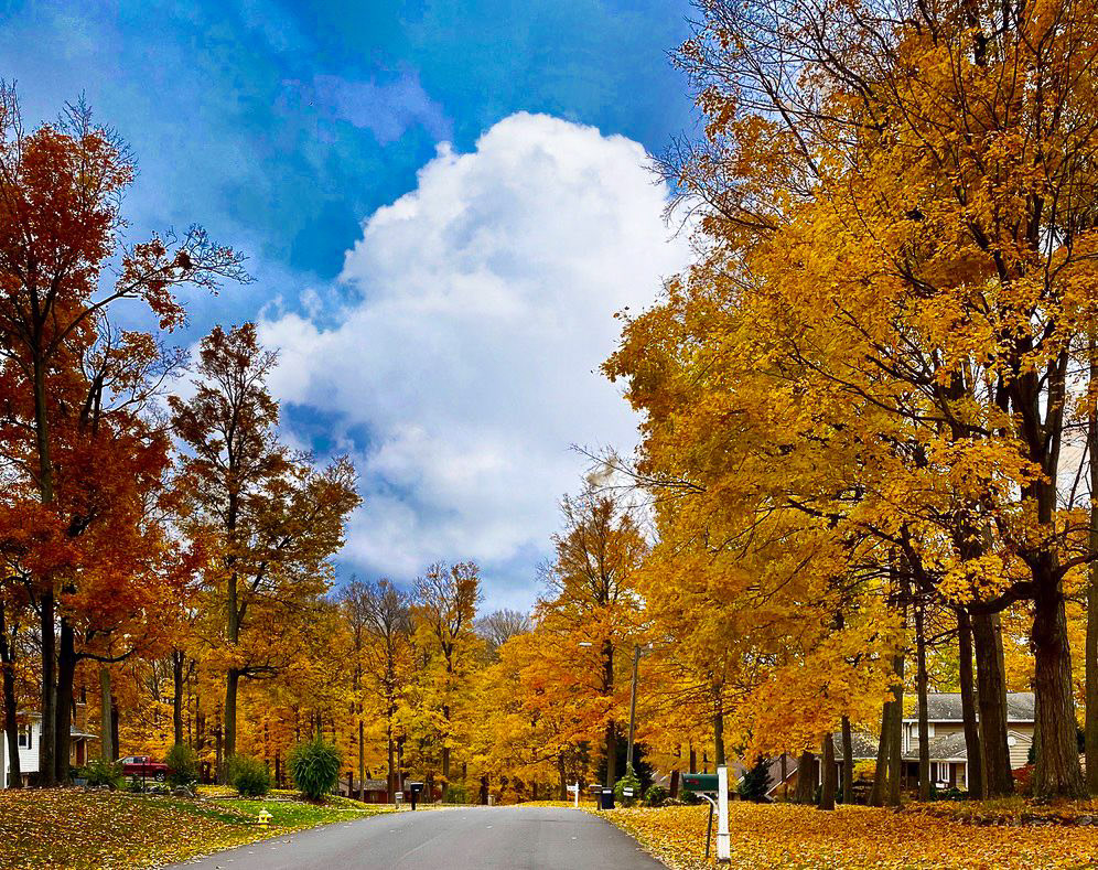 Waverly, MI