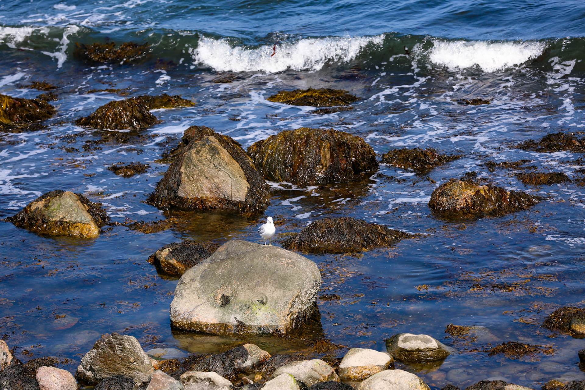 Martha's Vineyard, MA
