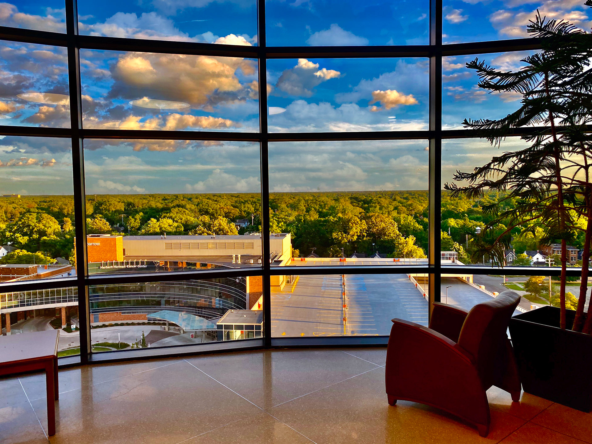 A View From Sparrow Hospital's Ninth Floor,    Lansing, MI