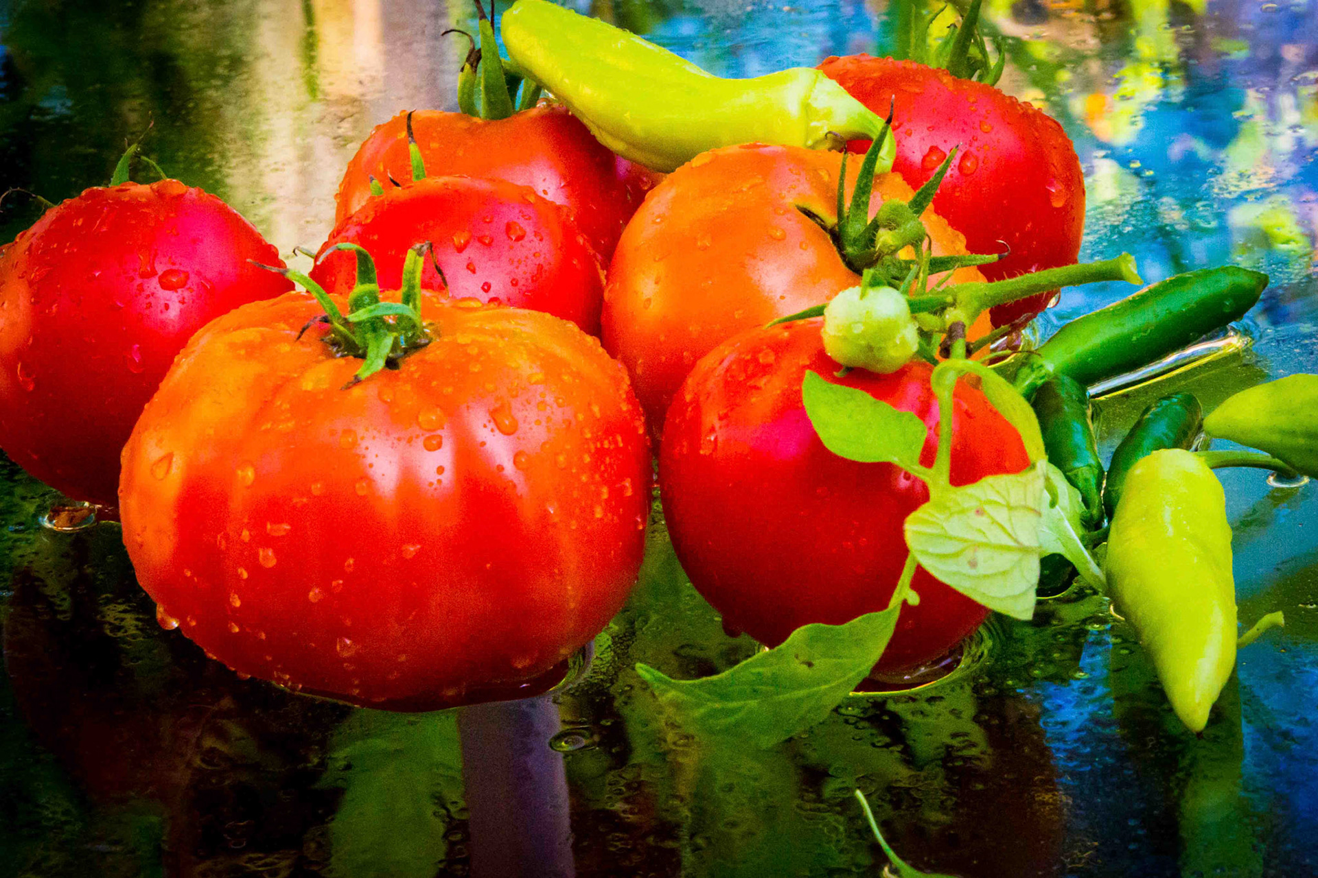 From My Garden On A Rainy Day: Lansing, MI
