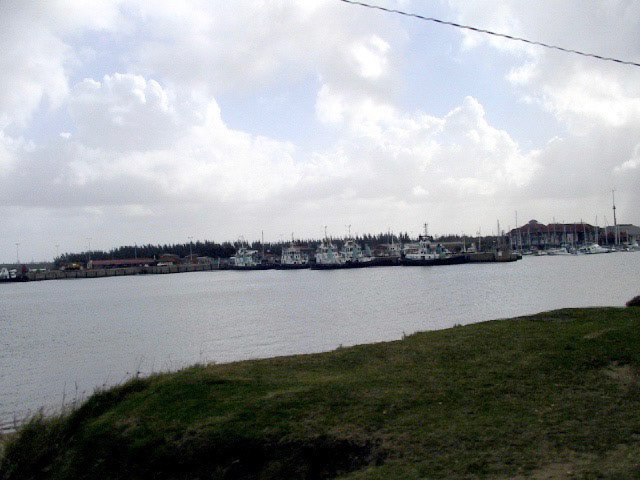 IMG_0009.JPG
