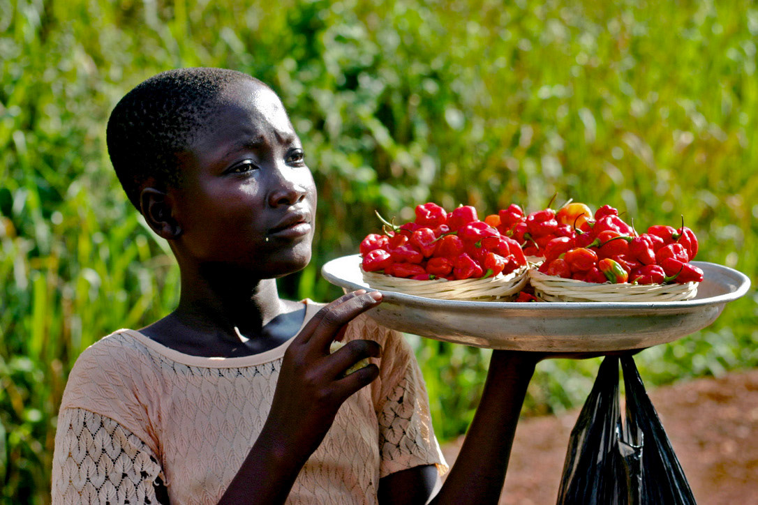  Pepper Sales Girl