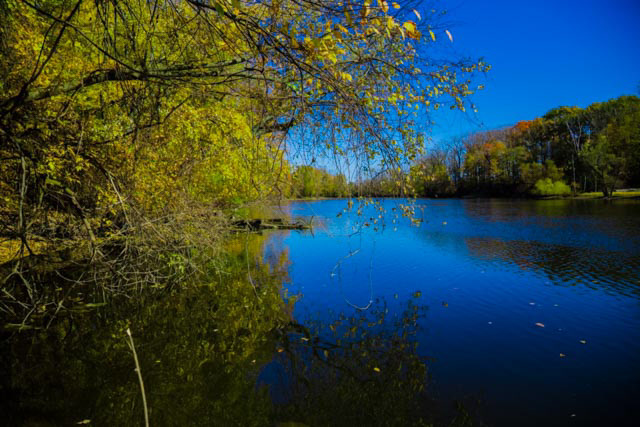 Lansing, MI