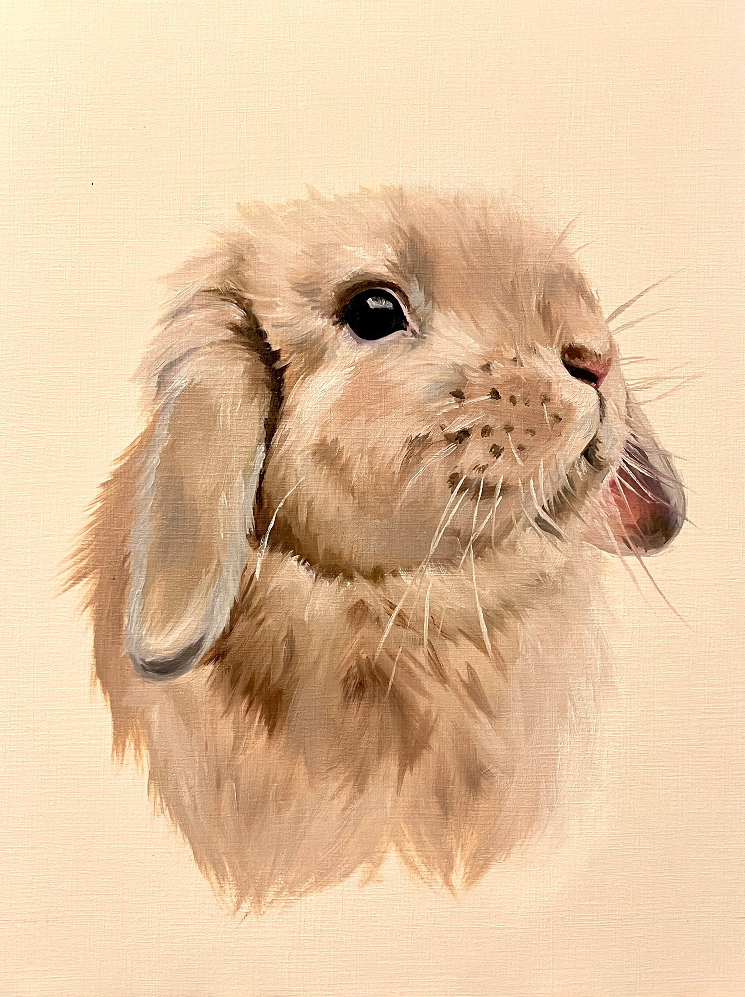 Bunny, oil on paper