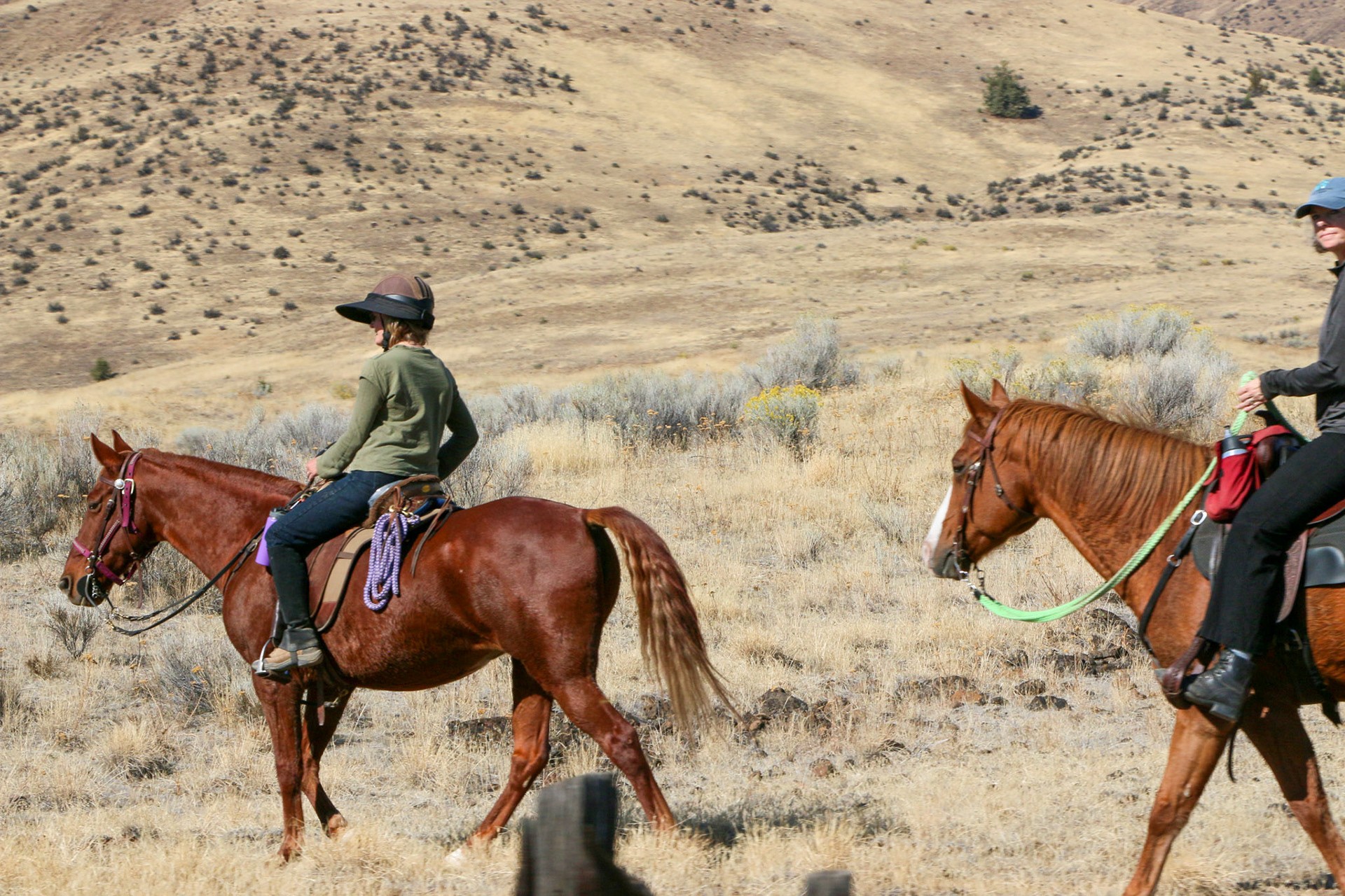A gentle country stroll.
