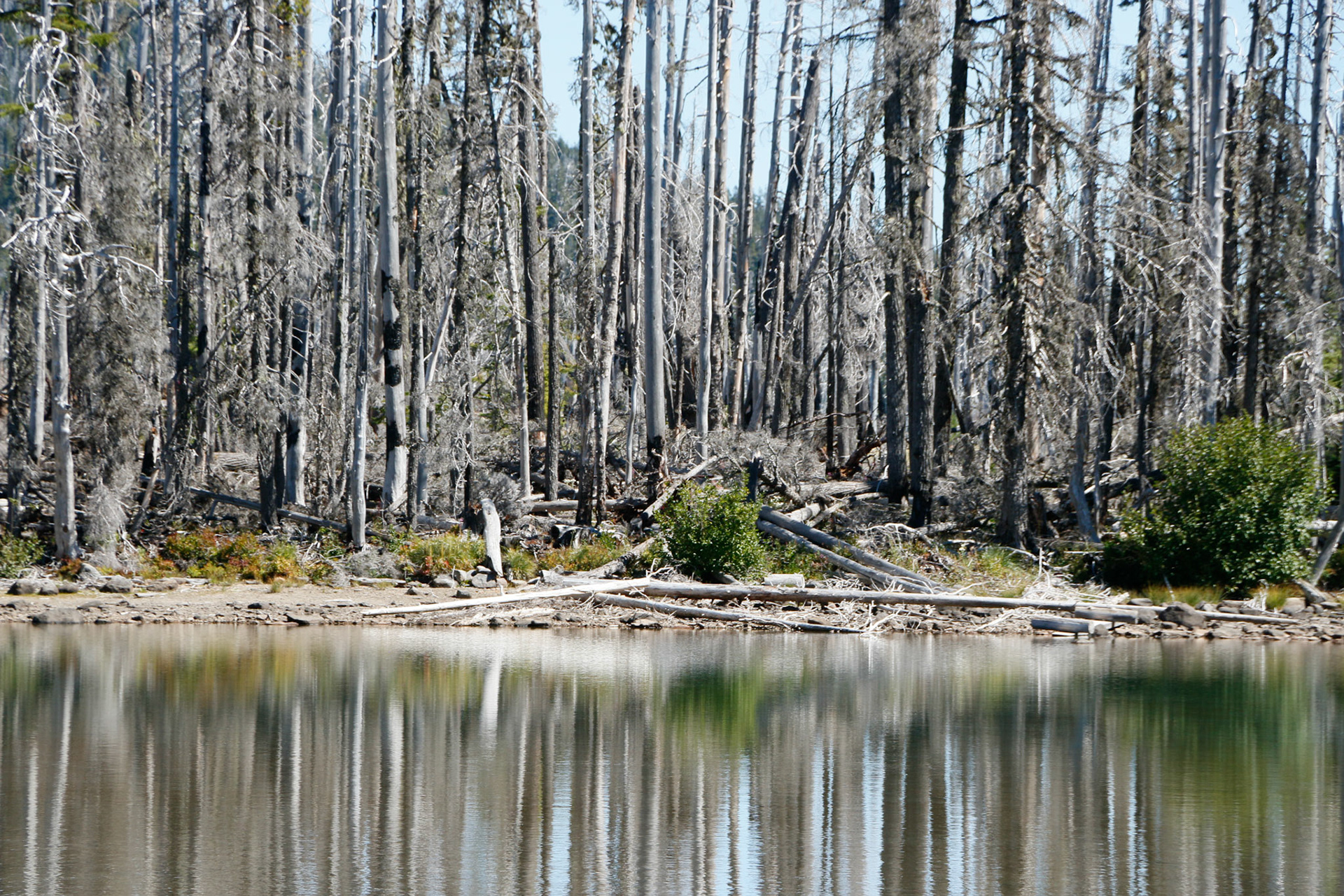 Horseshoe Lake in the Mt. Hood National Forest.