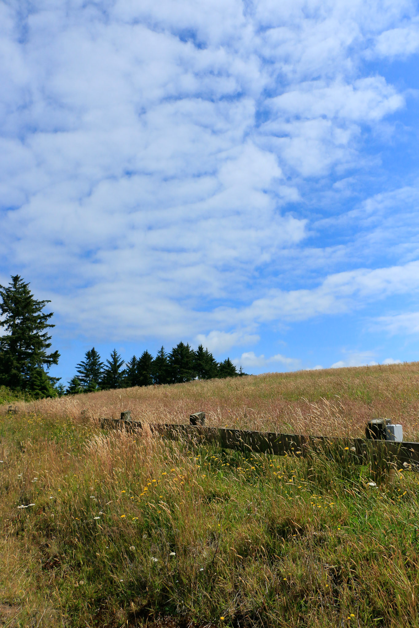 Nestucca Bay NWR in Oregon.
