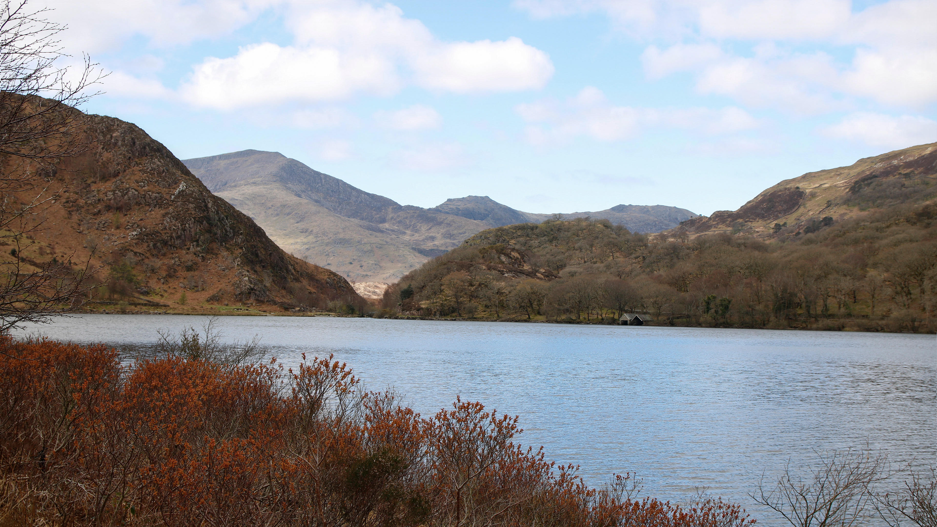Spring on Llyn Dinas
