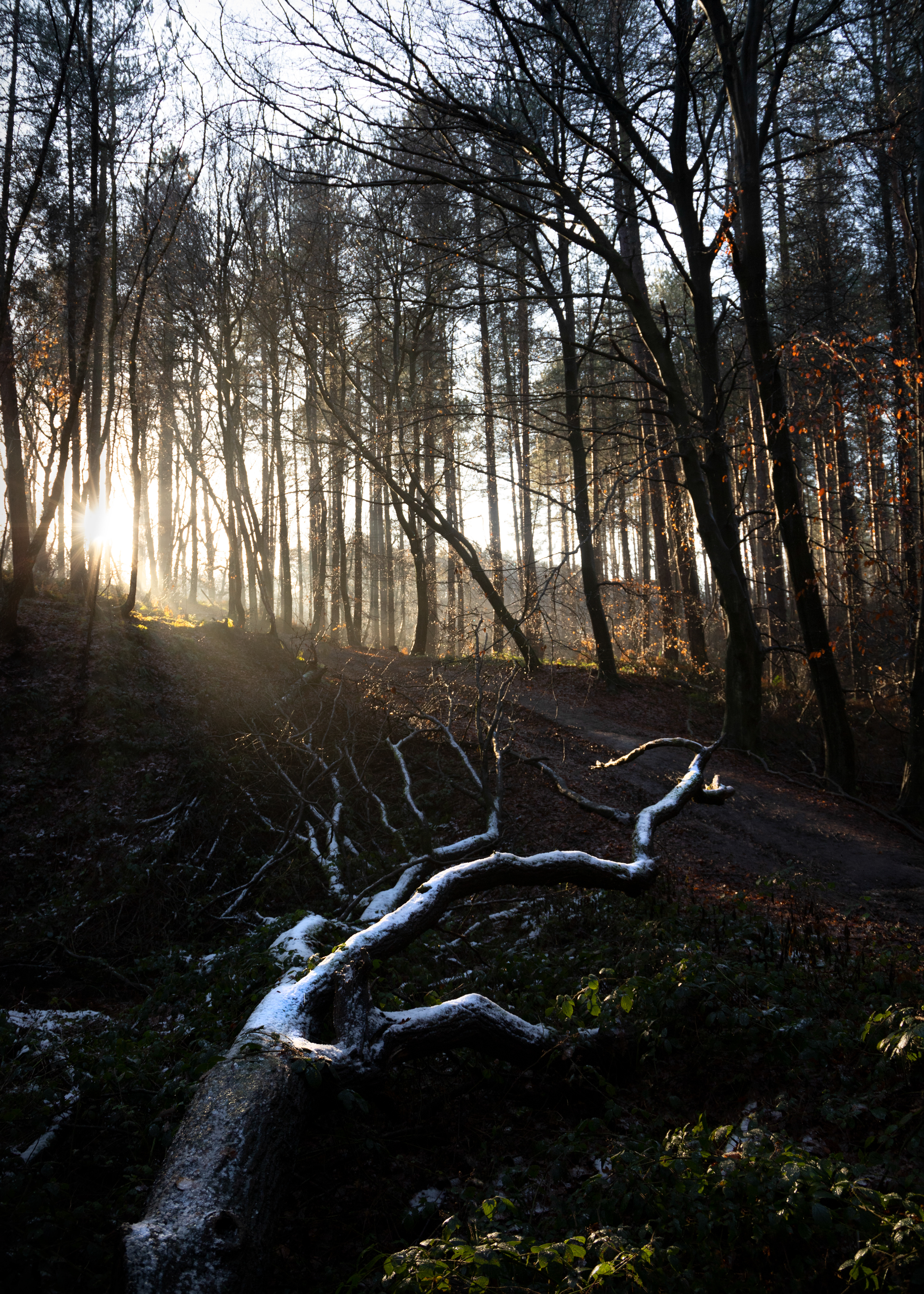 Snowfall