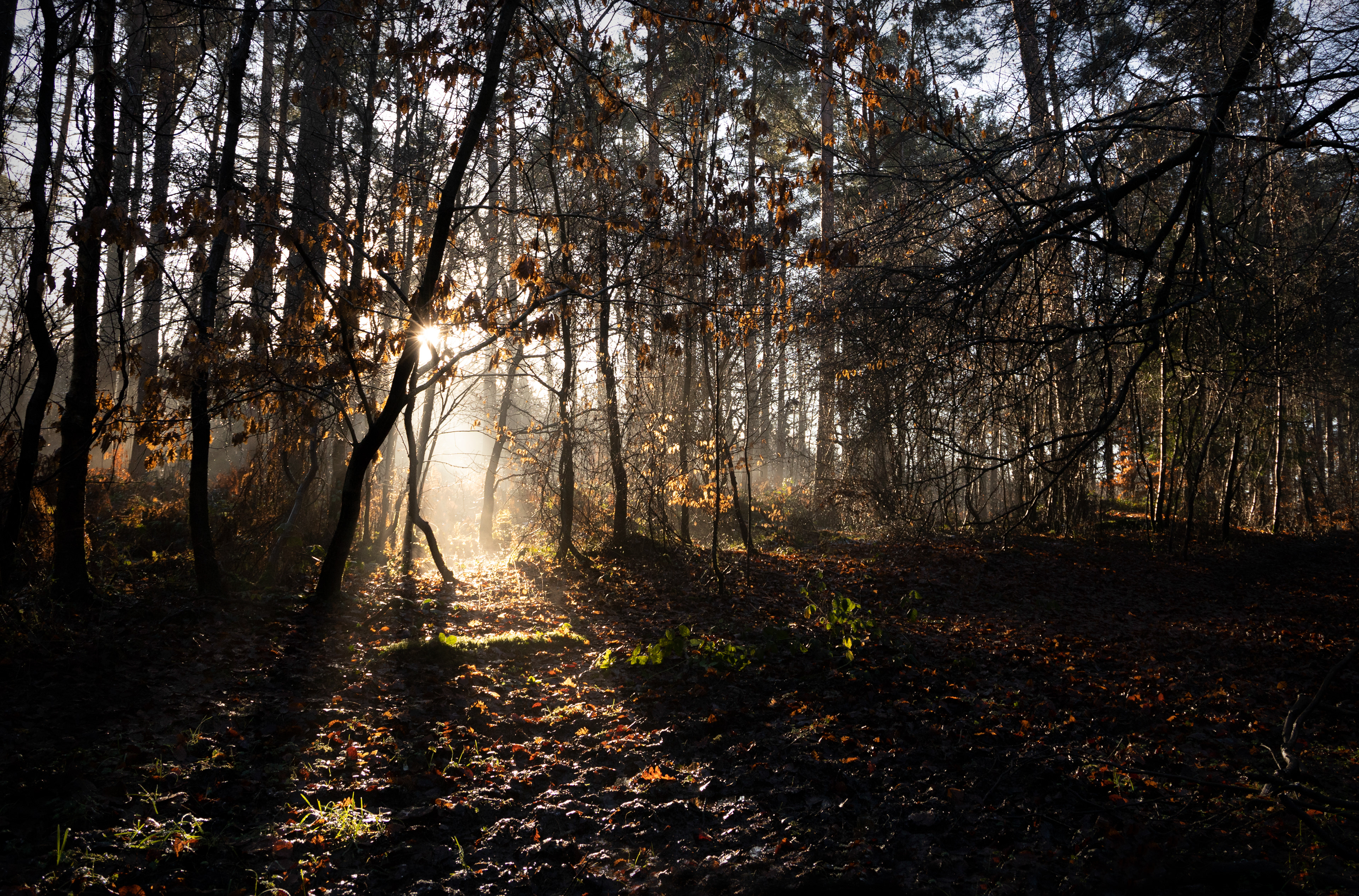 Light at the end