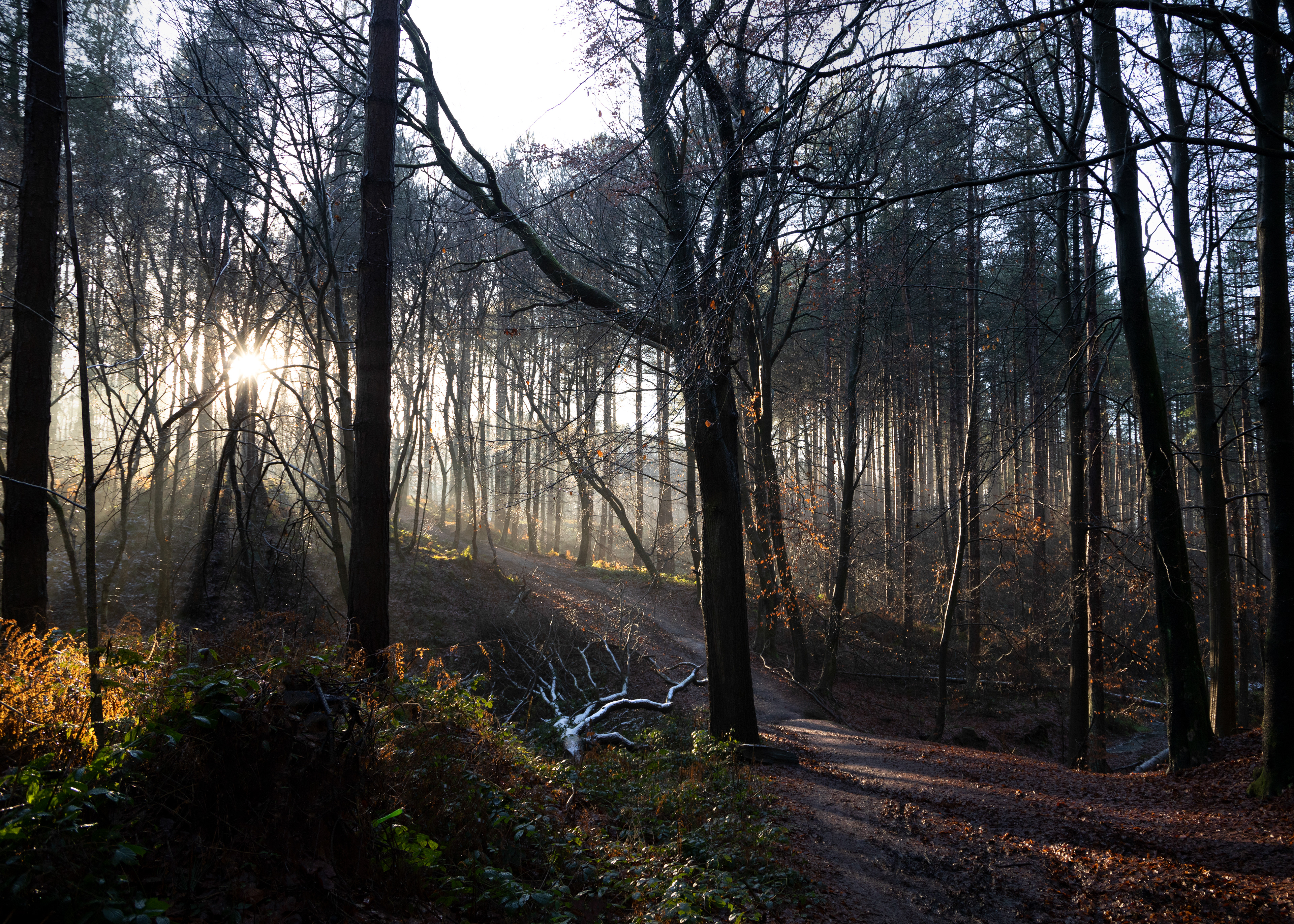 Breaking sunlight
