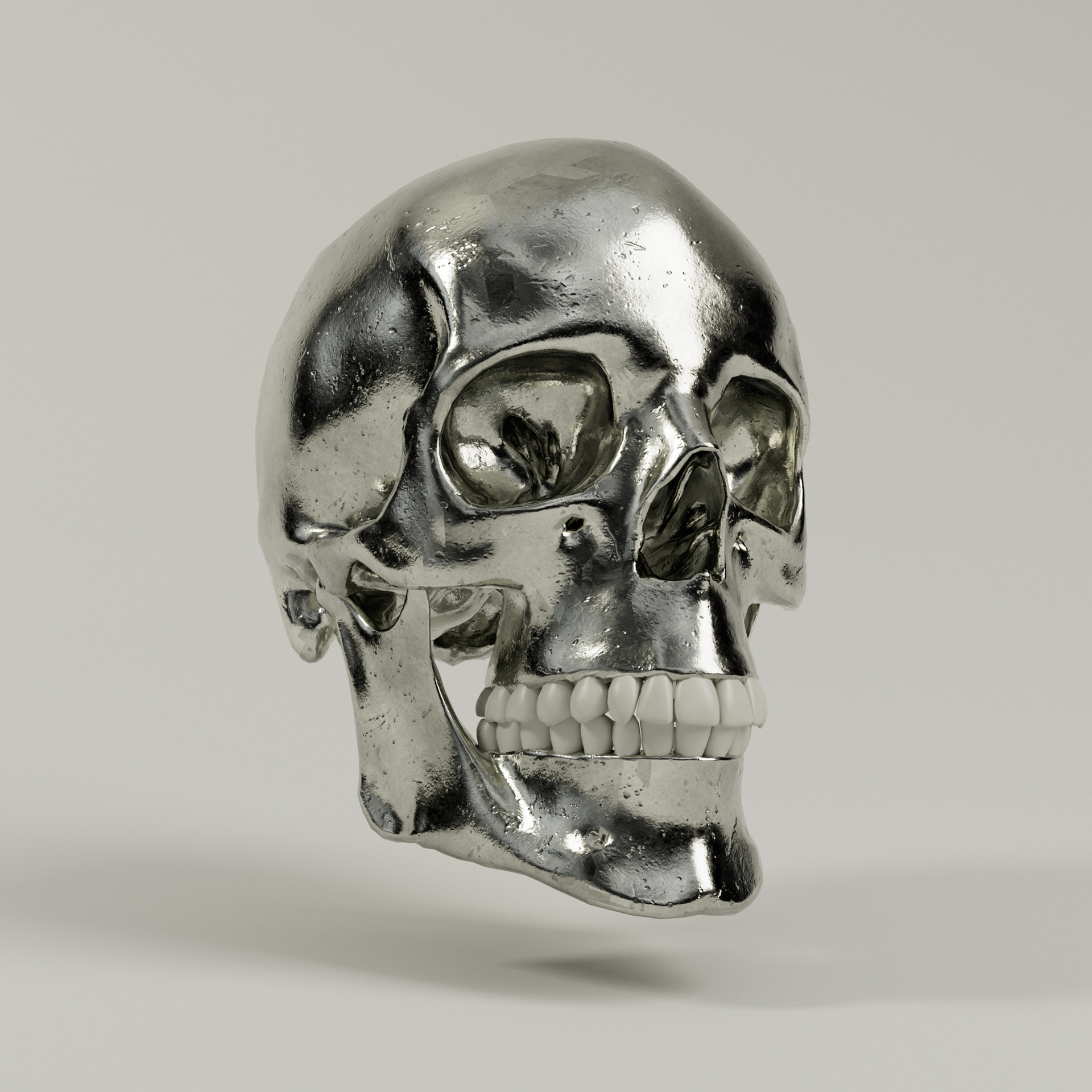 Silver Skull