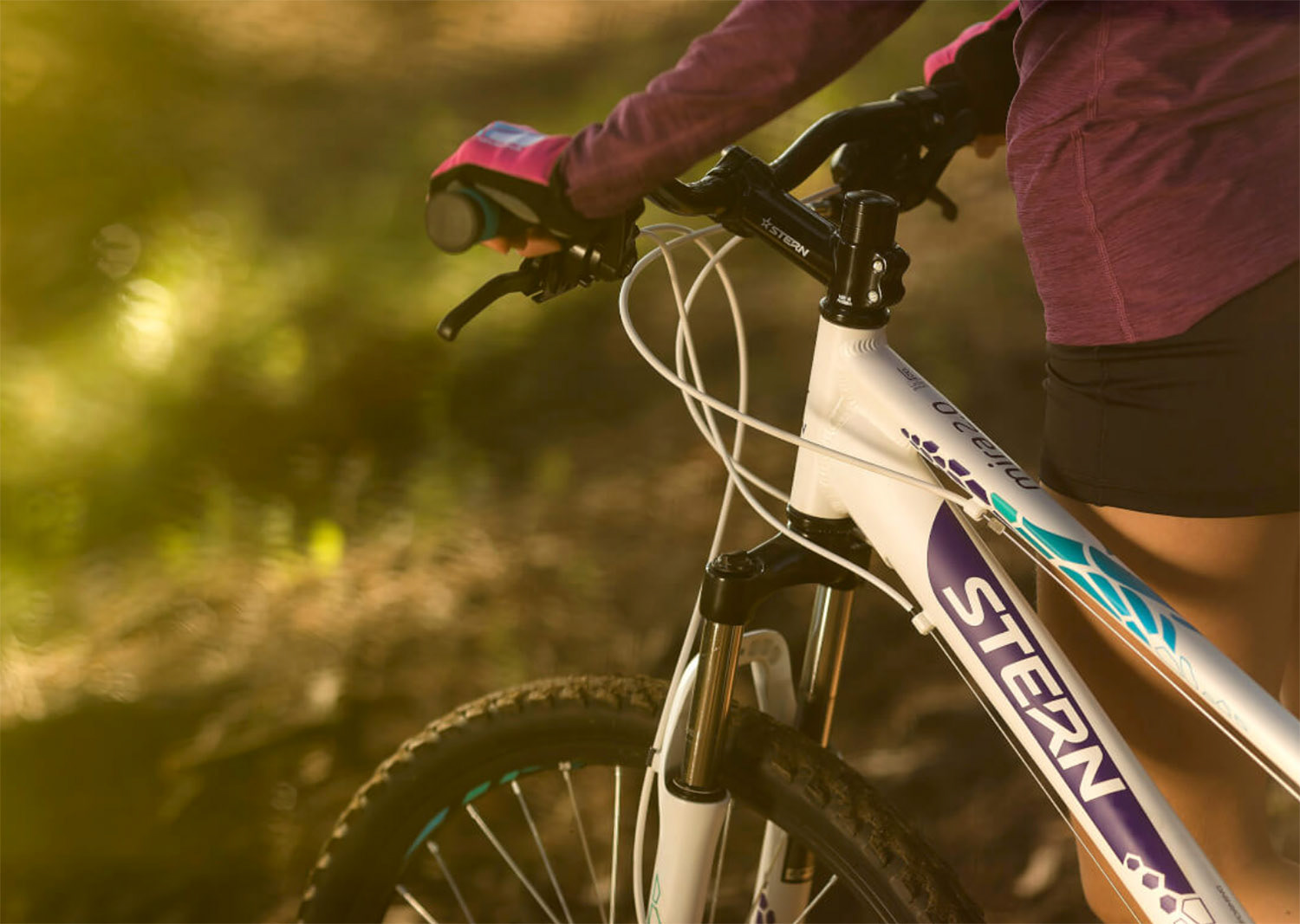 STERN BIKES