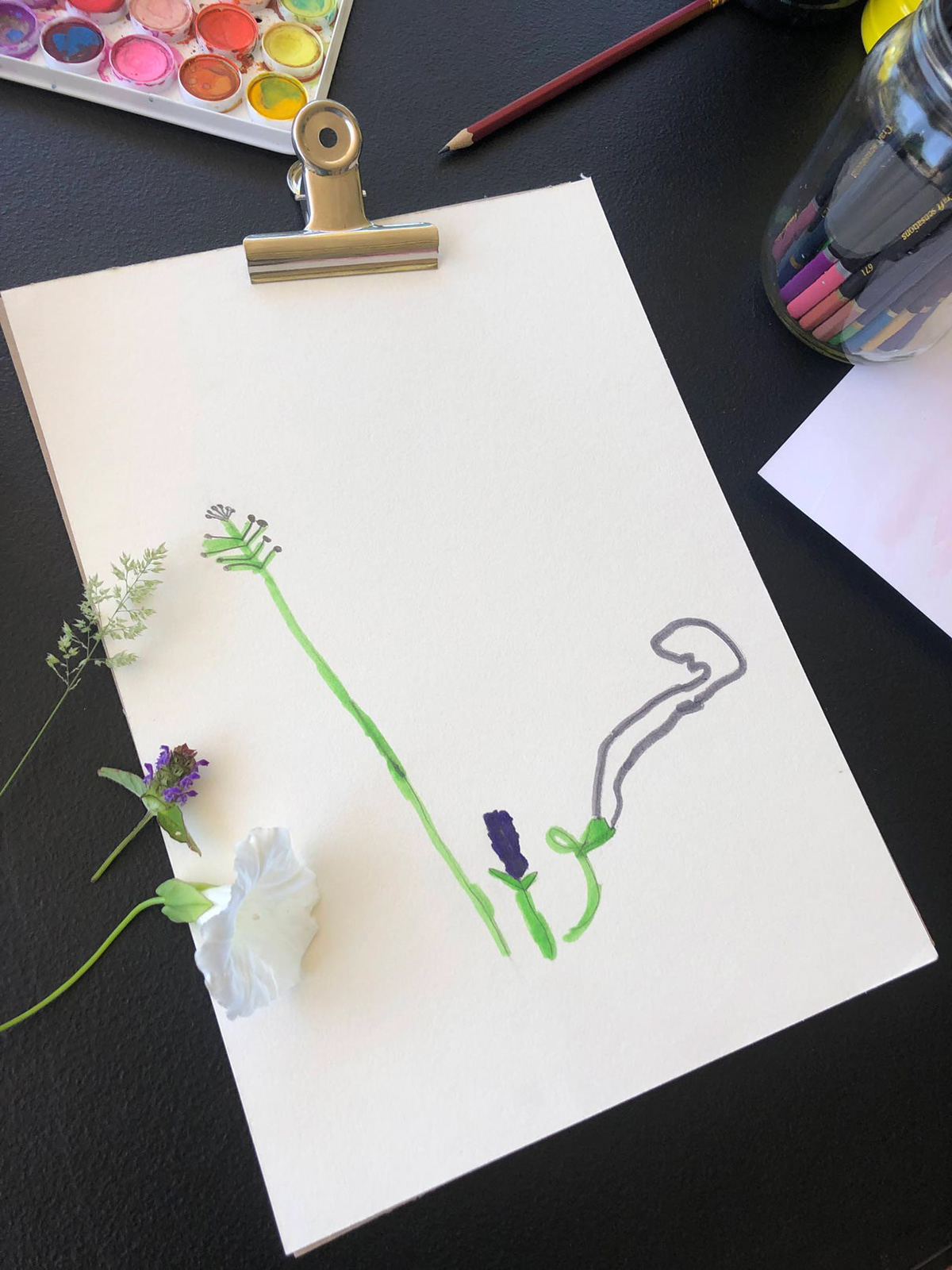 Atelier de dessin botanique
