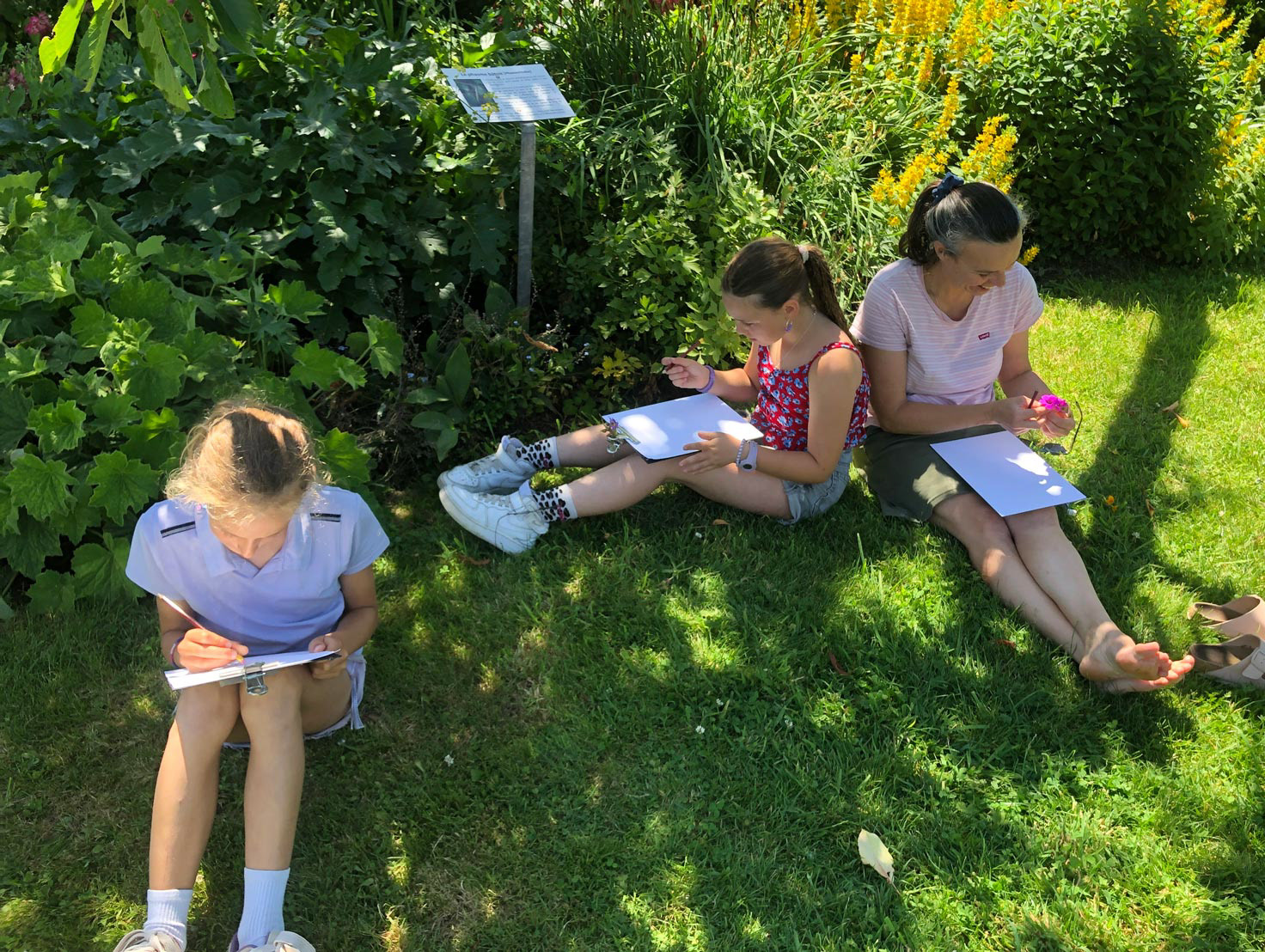 Atelier de dessin botanique