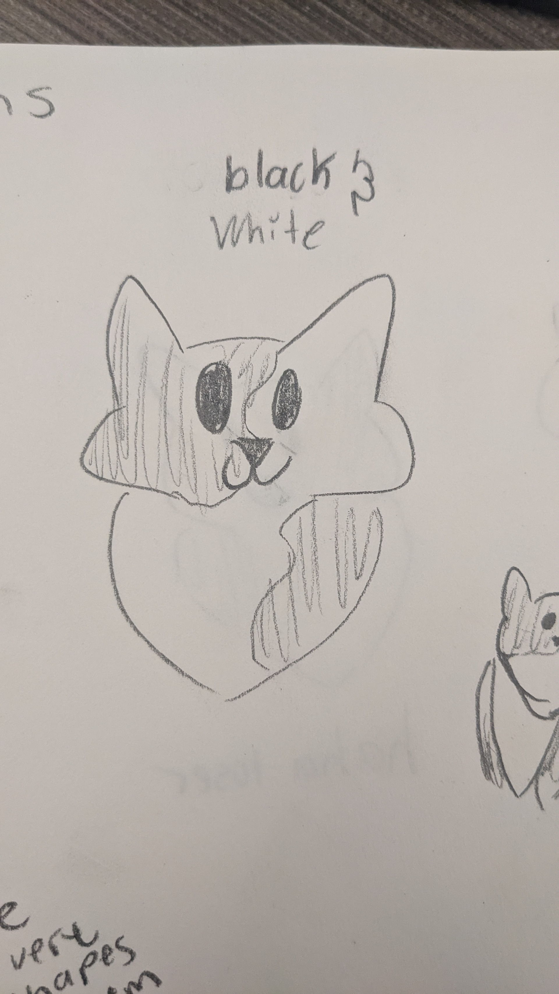 Cat sketch