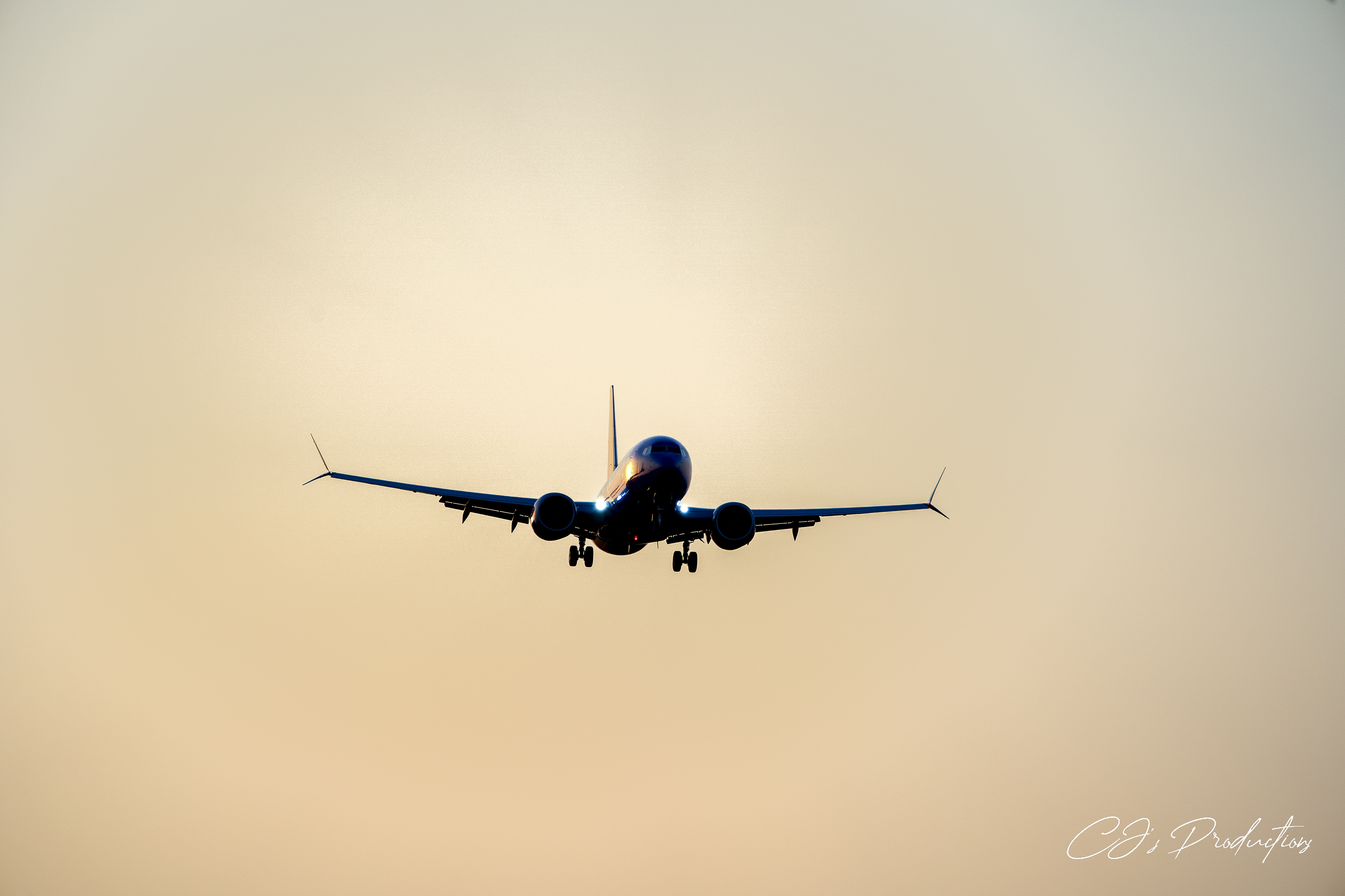 Houston, TX - Sony A7III Sony FE 100-400