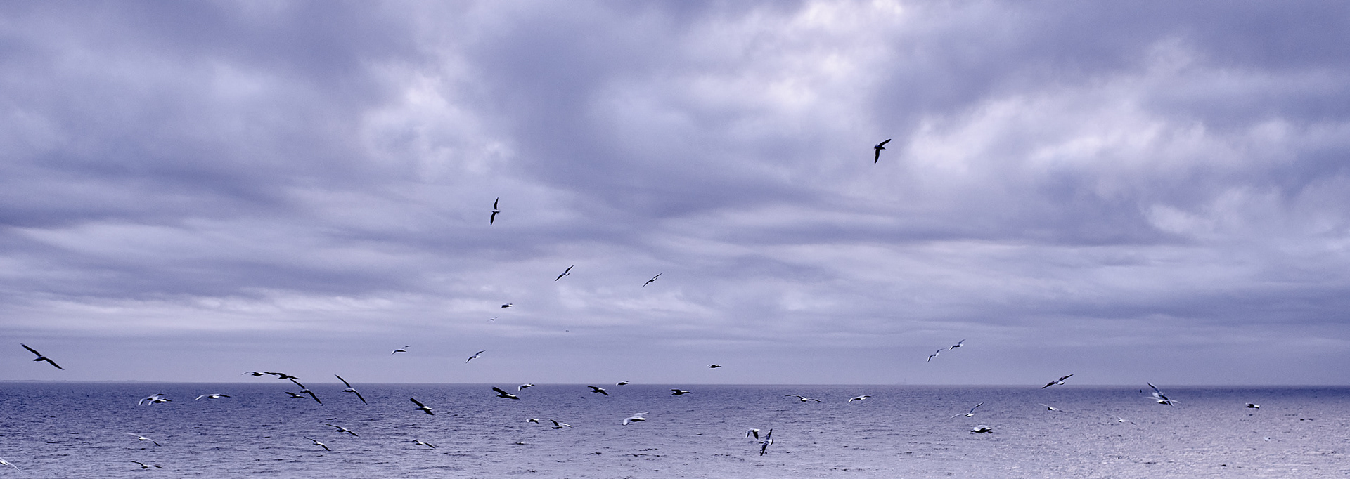 Letzter Blick auf die Nordsee