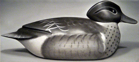 Decoy, 13 x 29 in, oil on canvas, 2008