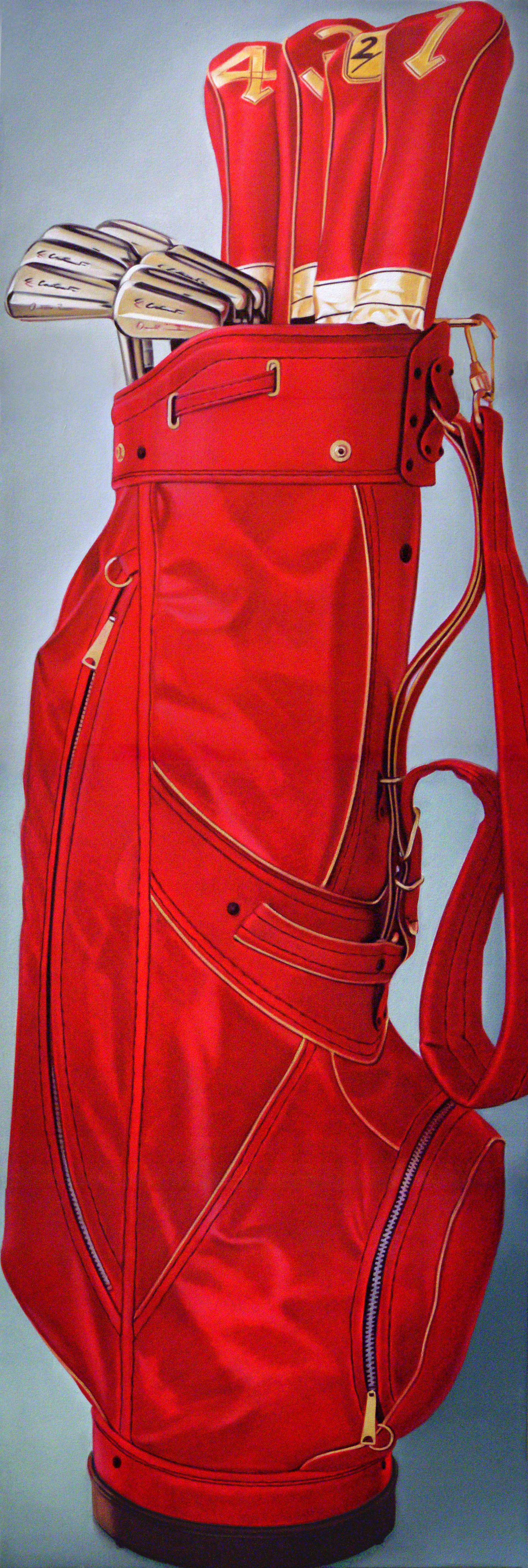 Pro Sized, 84 x 28 in, oil on canvas, 2008