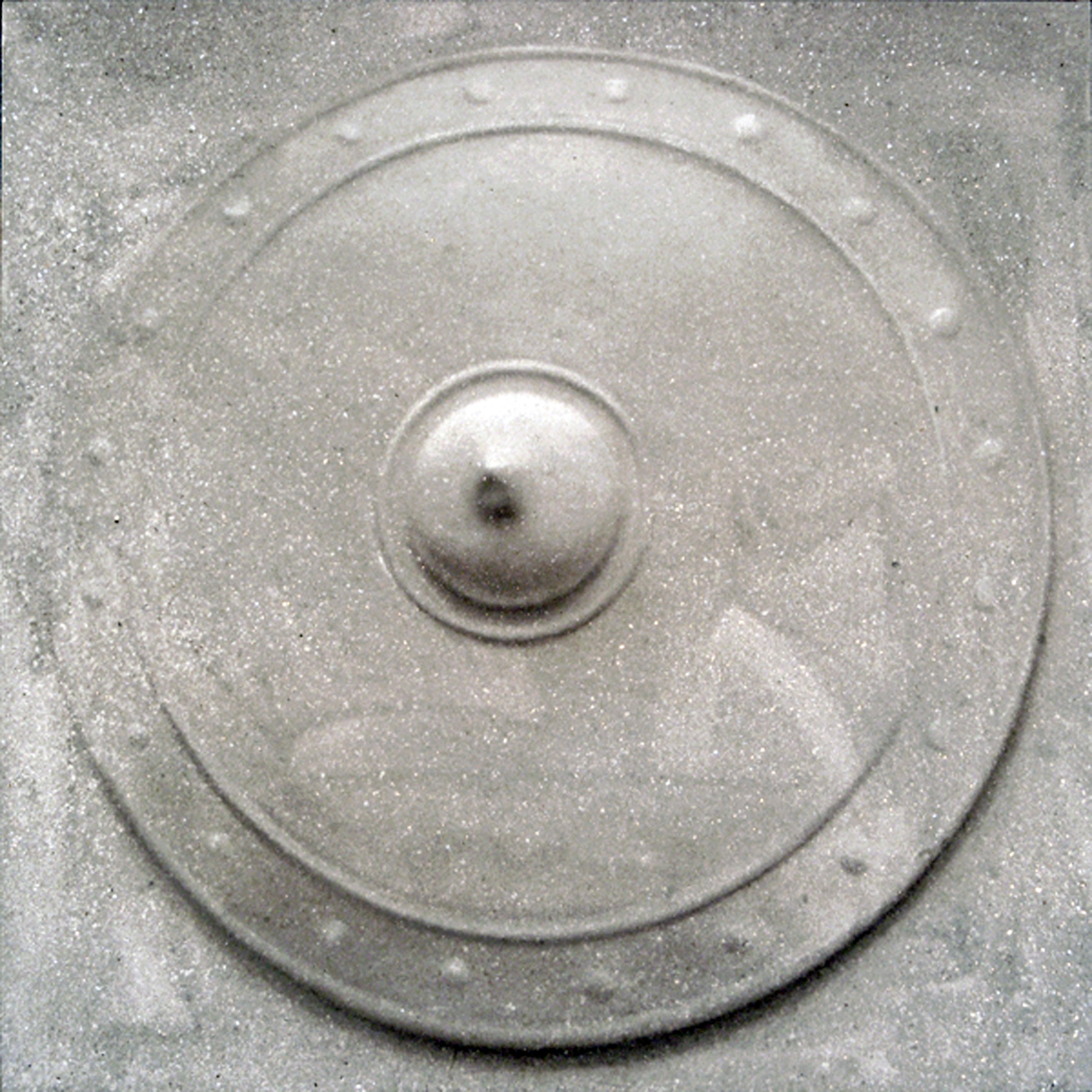 Shield, 32 x 32 in, oil, flock, and mica on canvas, 2010