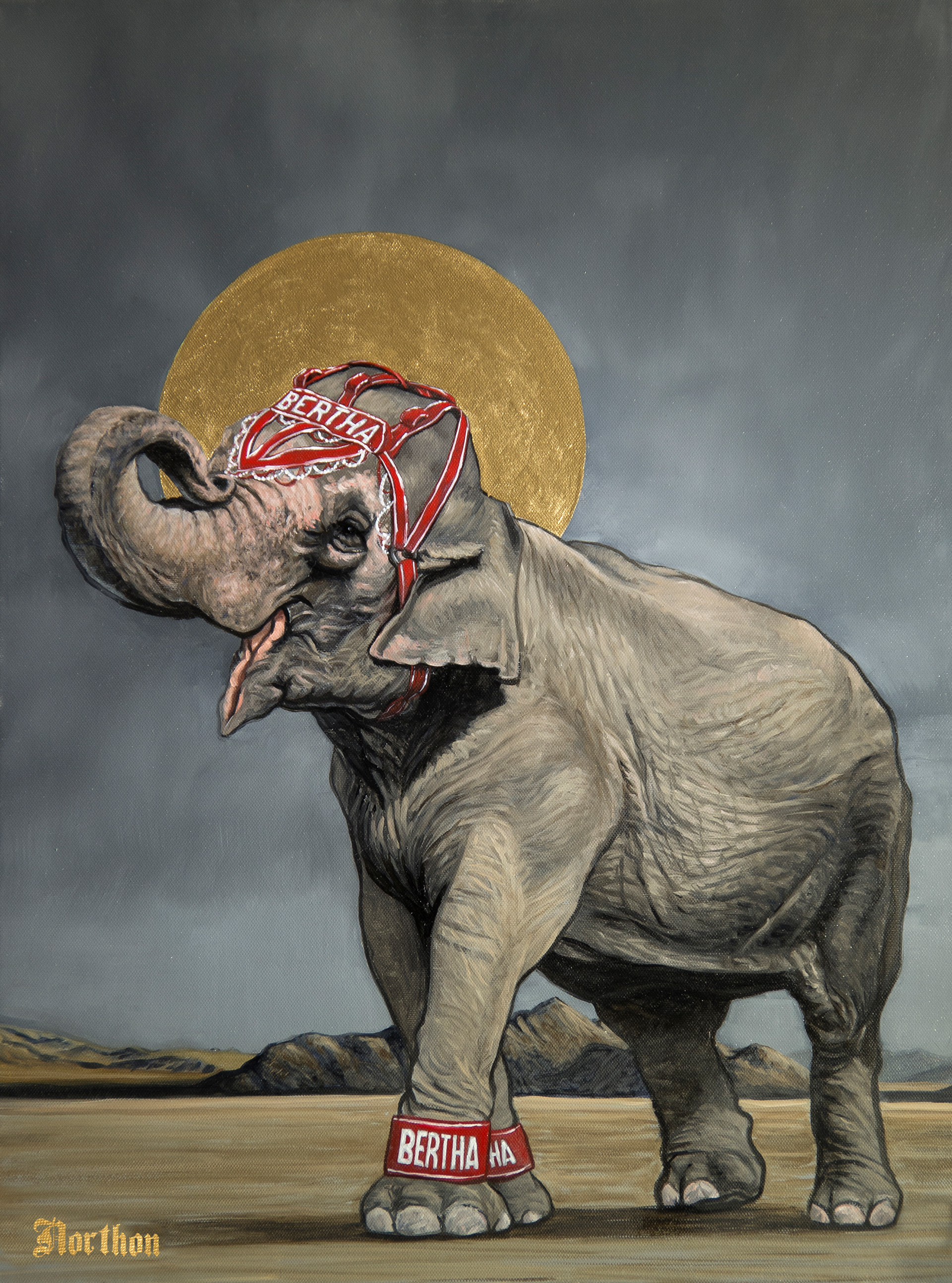 BERTHA, AN INDIAN ELEPHANT AT JOHN ASCUAGA’S NUGGET, WAS THE LONGEST-RUNNING CASINO ACT IN NEVADA HISTORY, RUNNING FROM 1962 TO HER DEATH IN 1999 AT THE AGE OF 48. SHE WAS BORN IN 1951 IN THE WILD IN INDIA AND CAPTURED IN 1956. BERTHA PERFORMED CIRCUS TRICKS AND LIVED IN THE ELEPHANT PALACE AT THE NUGGET FOR 37 YEARS AND MET THE LIKES OF THE BEATLES AND LIBERACE. WHICH TO HER PROBABLY DIDN’T MEAN MUCH. DURING HER LIFE AT THE CASINO SHE WAS JOINED BY TINA, WHO ARRIVED IN 1979 AND WAS TRANSFERRED OUT IN 1989, AND THEN BY ANGEL, FROM 1989 TO 1999, WHEN SHE WAS SENT TO THE FORT WORTH ZOO. I REMEMBER FEEDING PEANUTS TO BERTHA AS A YOUNG CHILD AND THOUGH IT WAS A LIFE-CHANGING EXPERIENCE FOR A BOY TO COME INTO SUCH CLOSE CONTACT WITH SUCH AN AMAZING AND POWERFUL ANIMAL FROM THE OTHER SIDE OF THE WORLD, I CHOOSE TO PICTURE HER NOT HAVING DIED IN A PARKING LOT IN SPARKS, NEVADA, BUT STILL RUNNING RAMPANT AND FREE THROUGH THE DESERT.