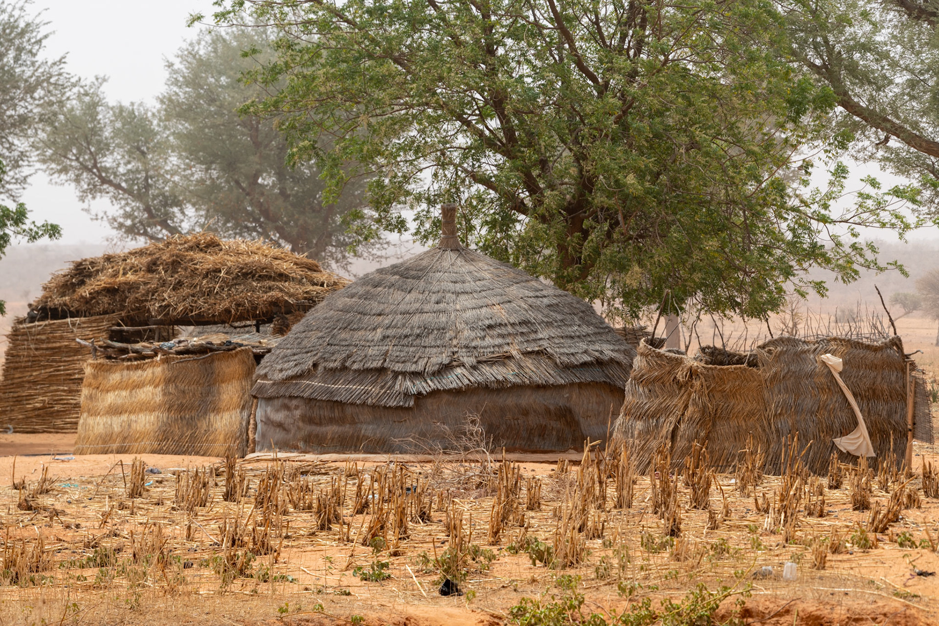 Niger Smart Village project