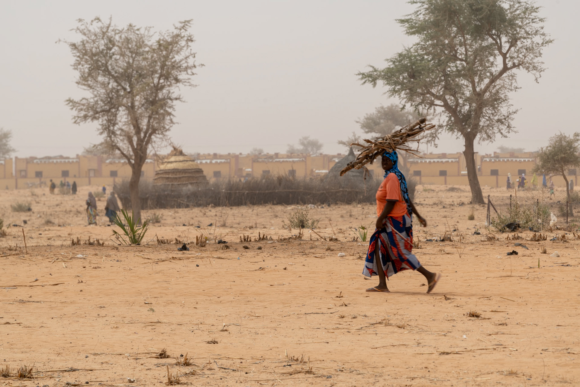 Niger Smart Village project