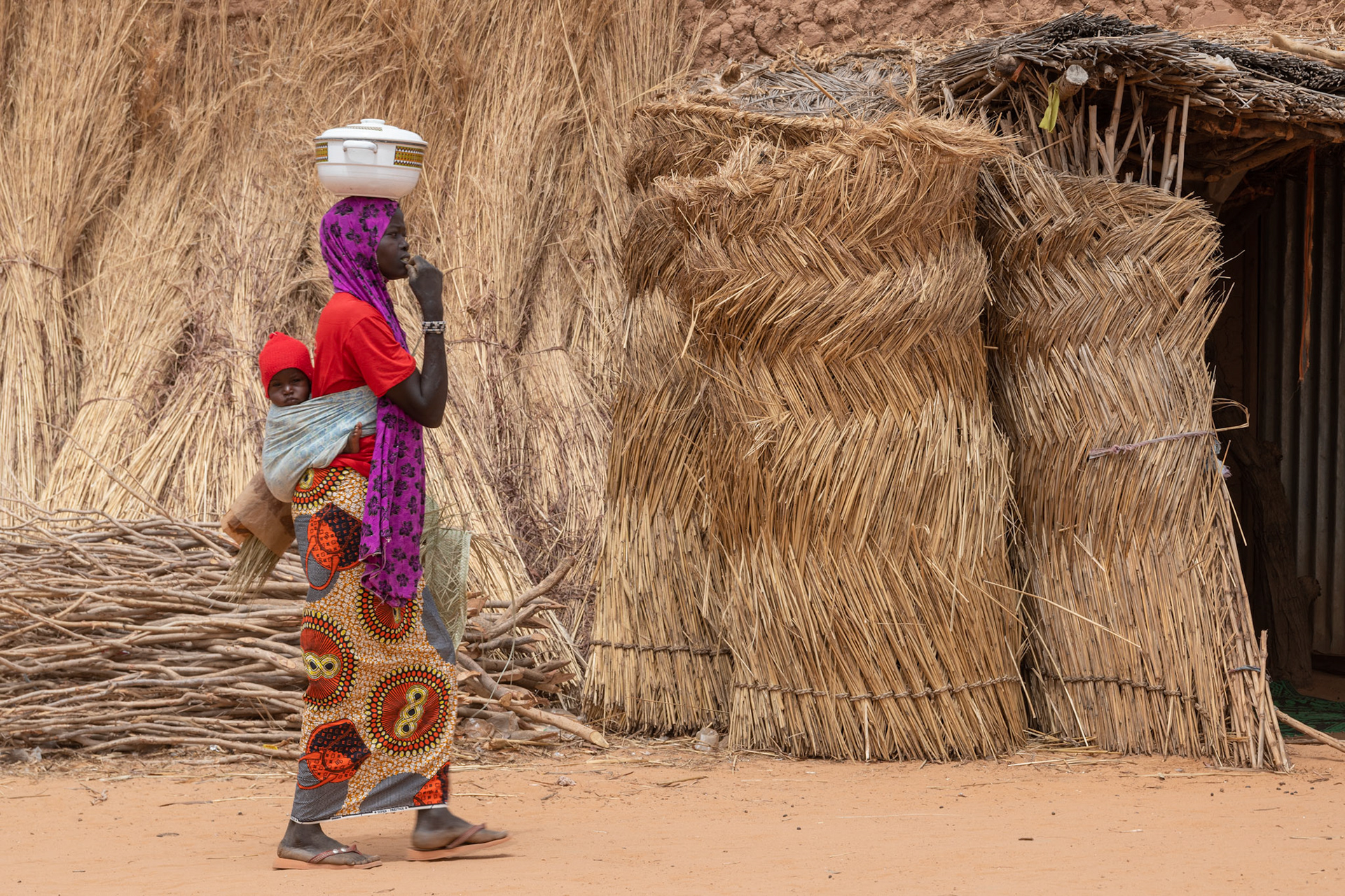 Niger Smart Village project