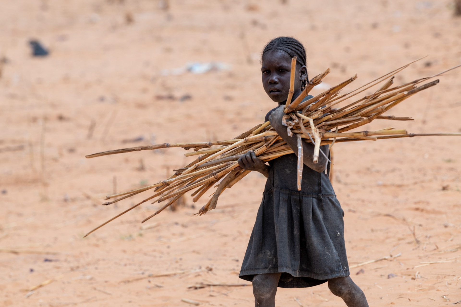 Scarce resources in Niger