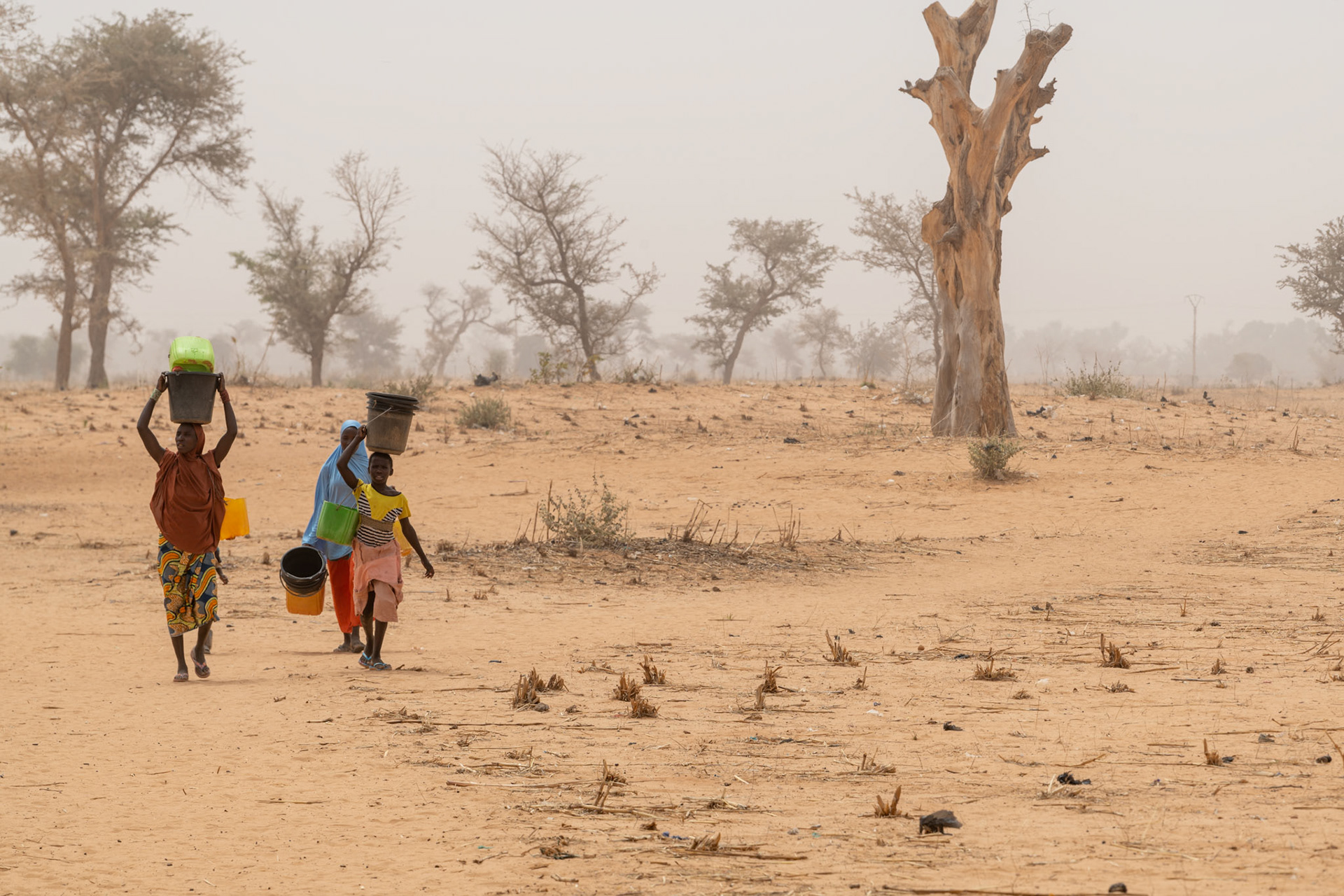 Scarce resources in Niger